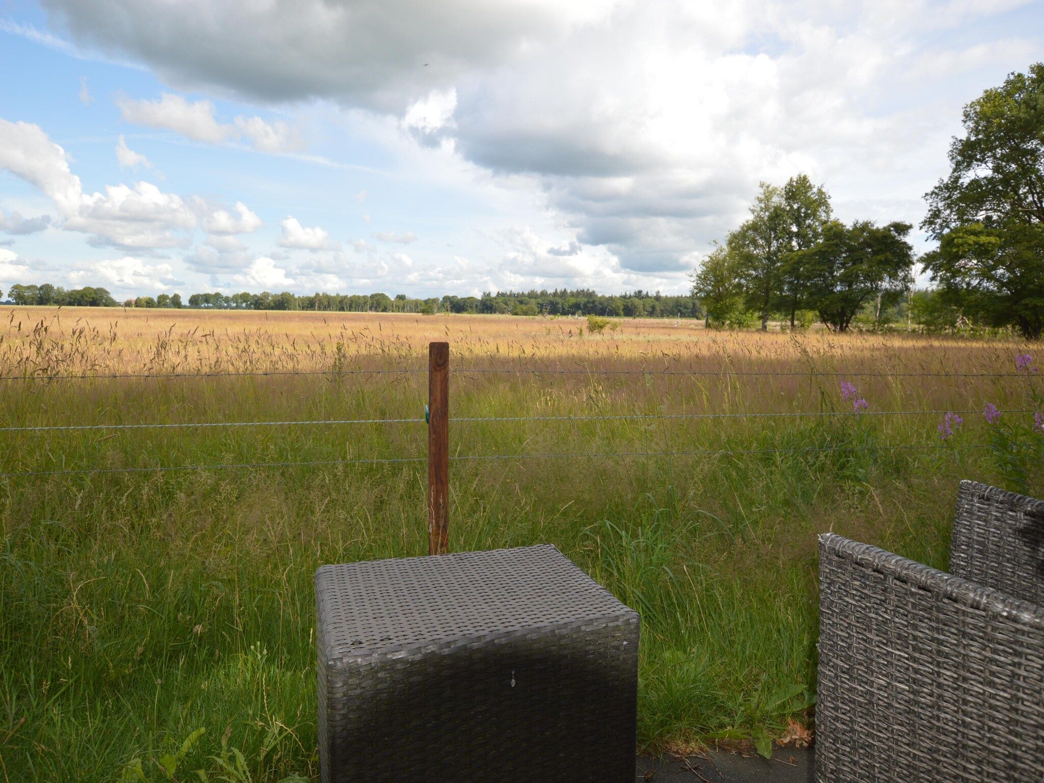 Het uitzicht vanaf Buitenplaats Berg en Bos nummer 15 in Lemele