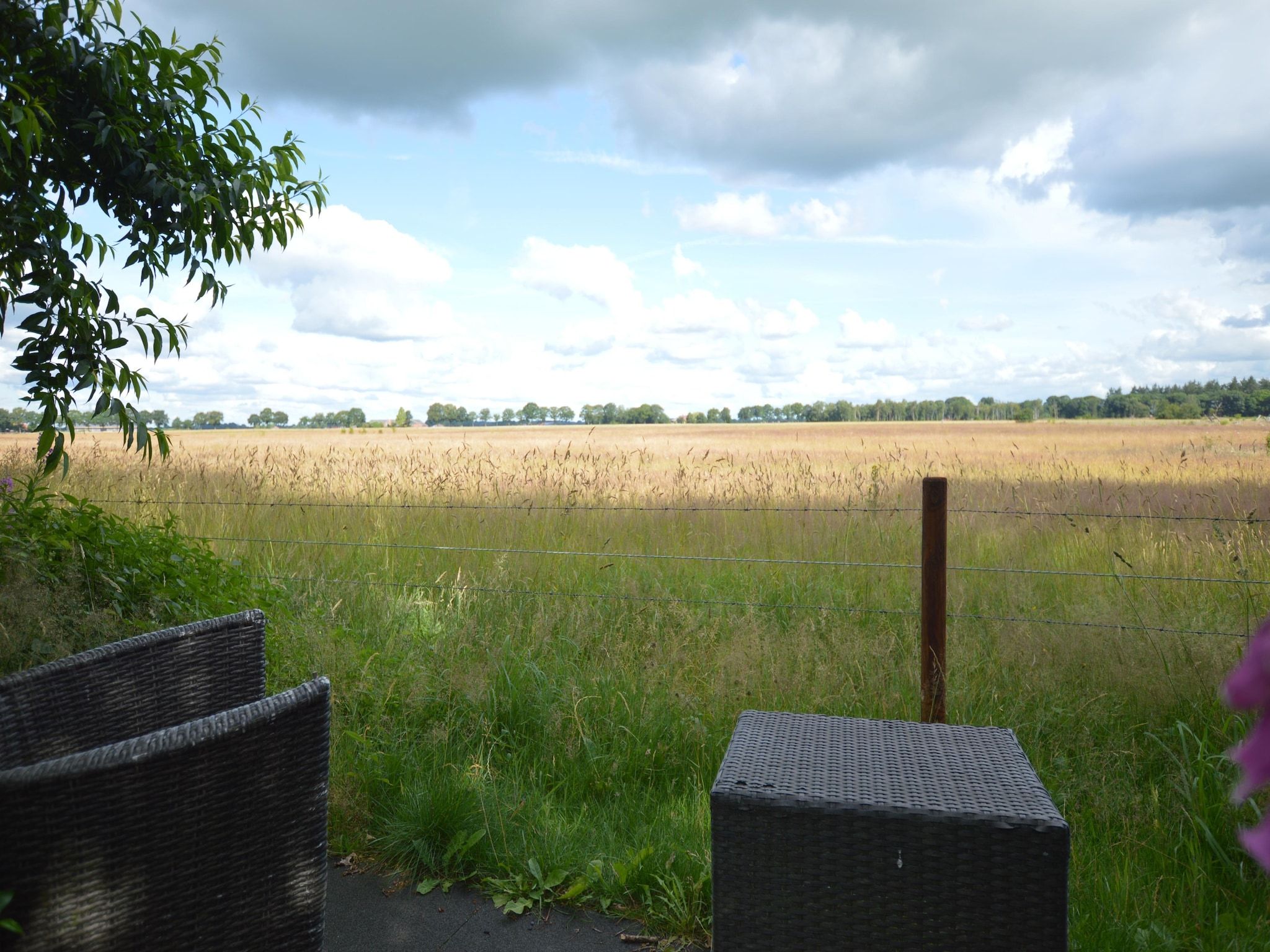 Het uitzicht vanaf Buitenplaats Berg en Bos nummer 15 in Lemele