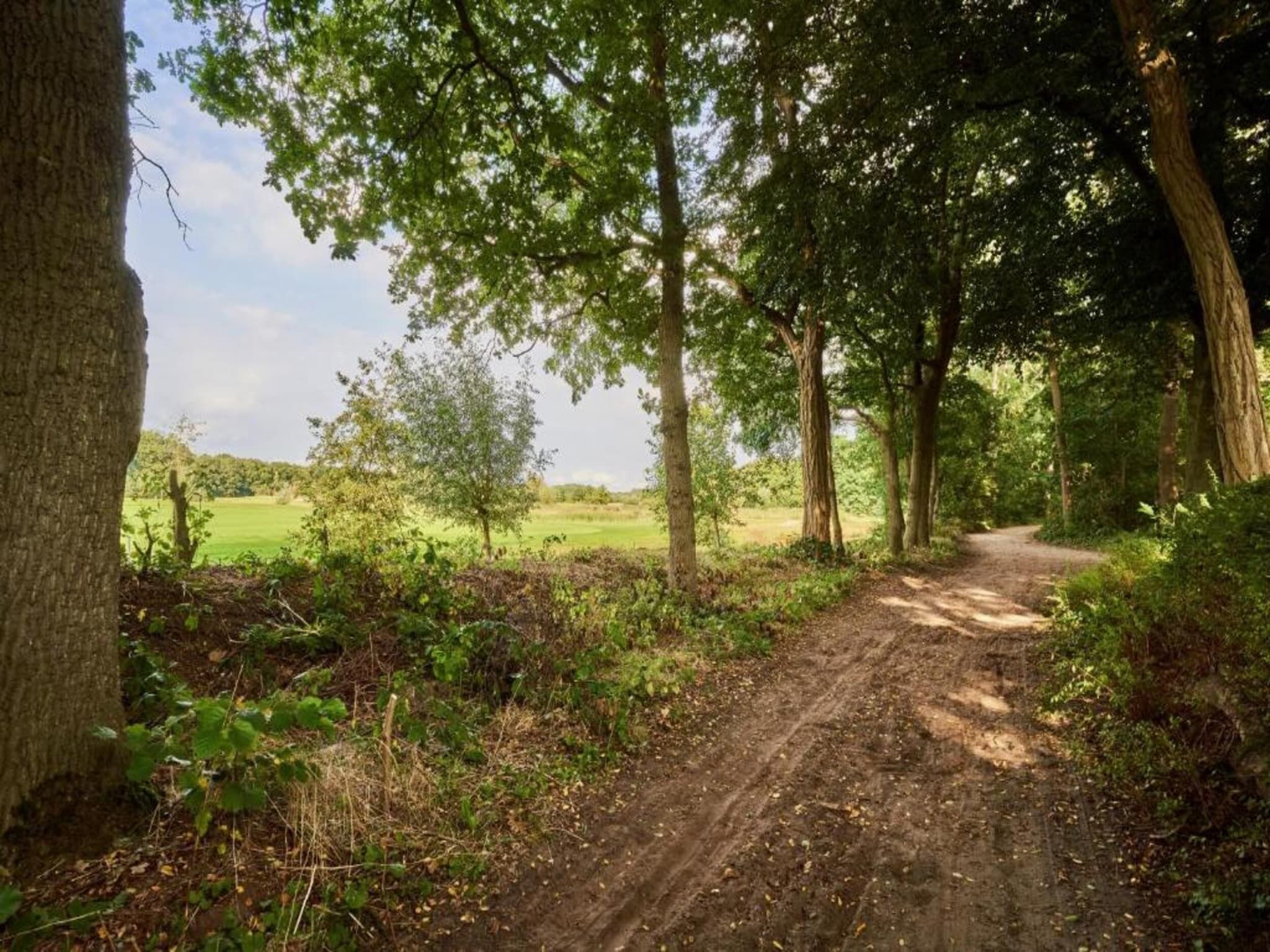 De omgeving van Vakantiepark de Katjeskelder 21 in Oosterhout