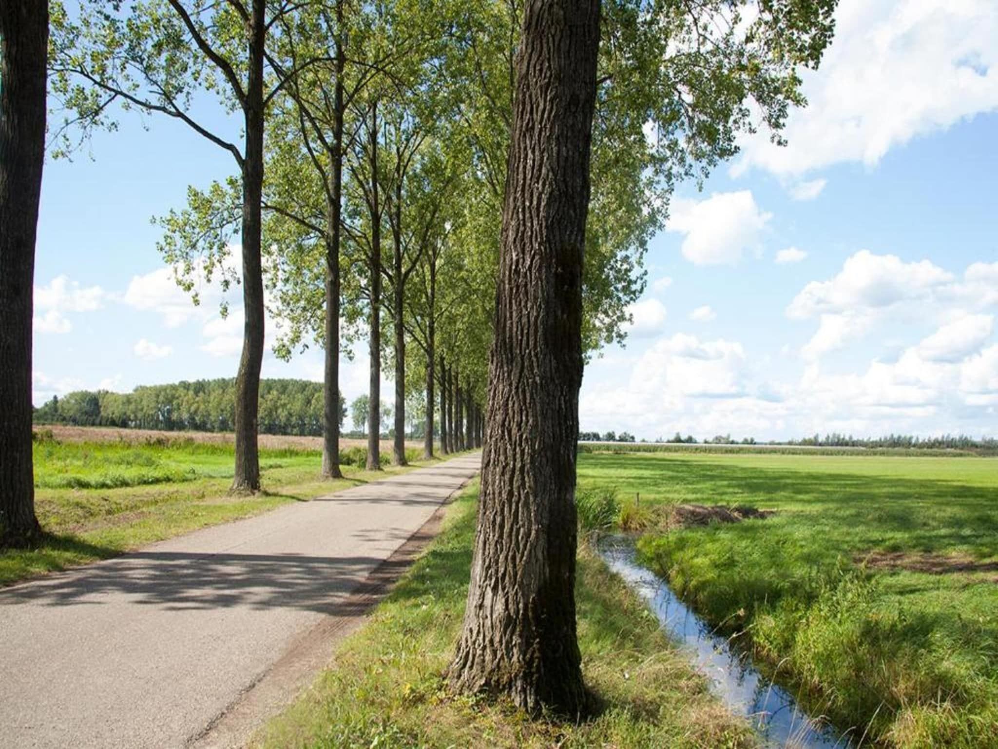 De omgeving van MarinaPark Bad Nederrijn 2 in Maurik