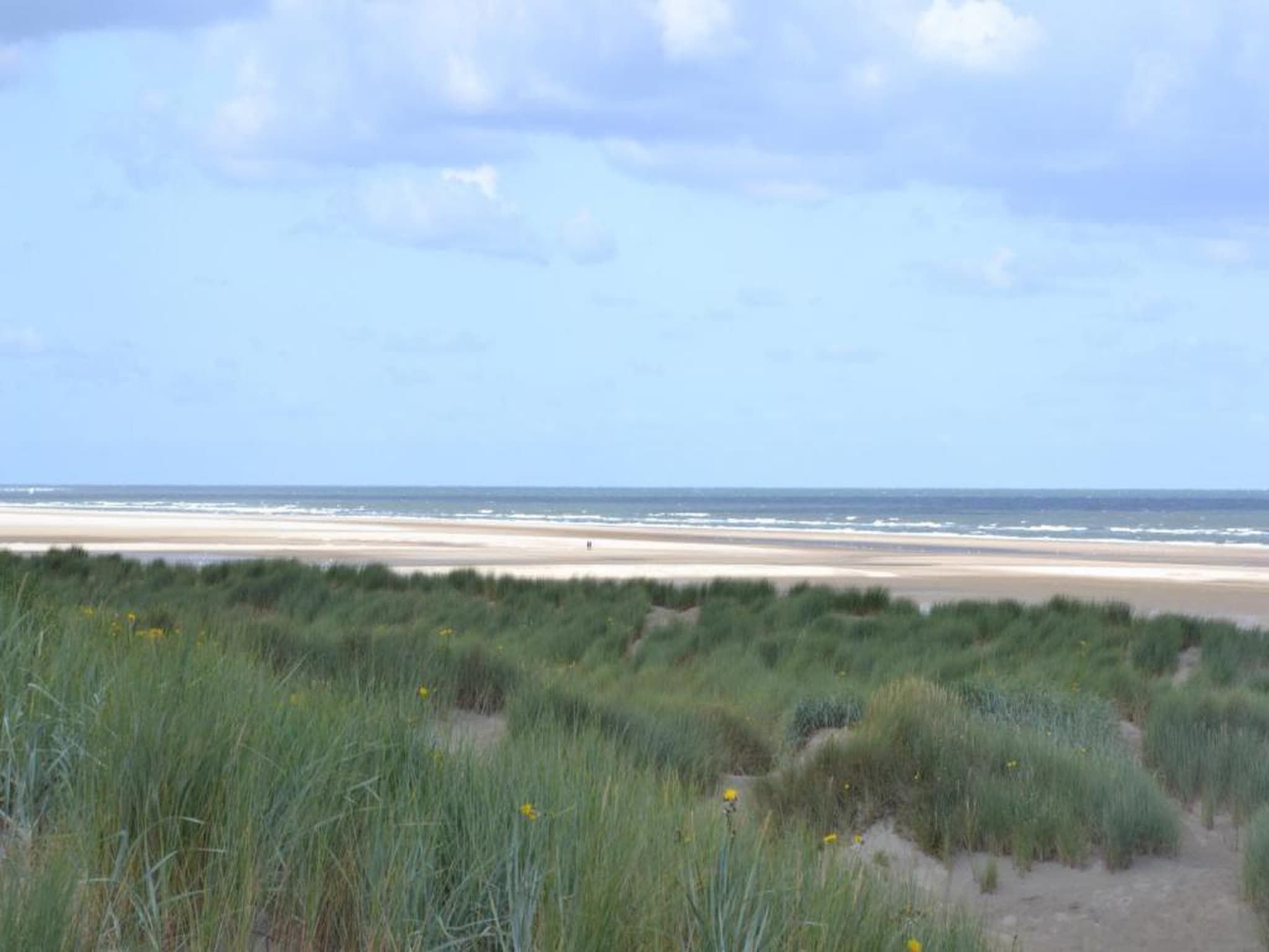 Lepelblad 7 in Nieuwvlietbad - Foto 38 van 42
