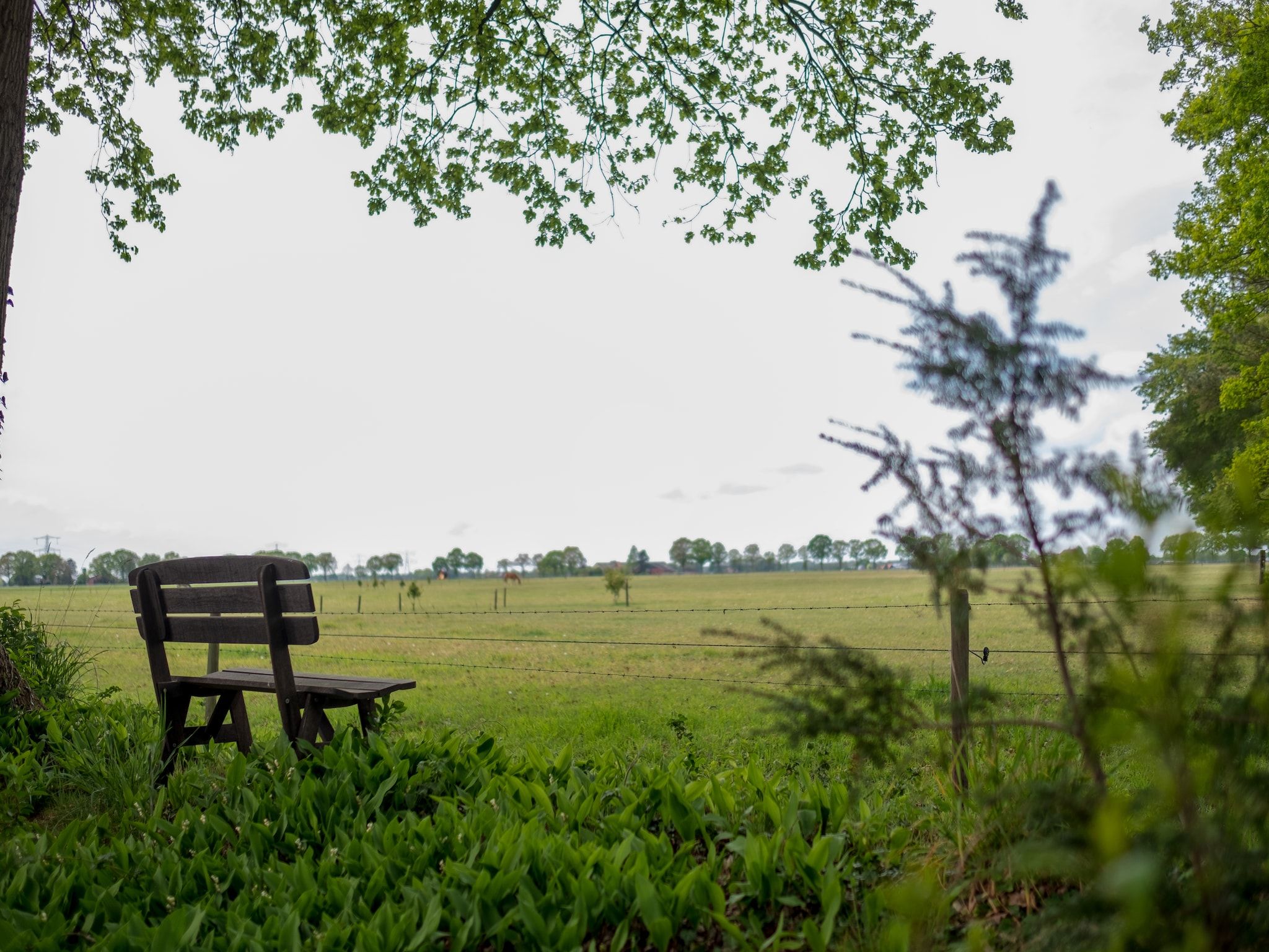 De tuin van Buitenplaats Berg en Bos nummer 13 in Overijssel