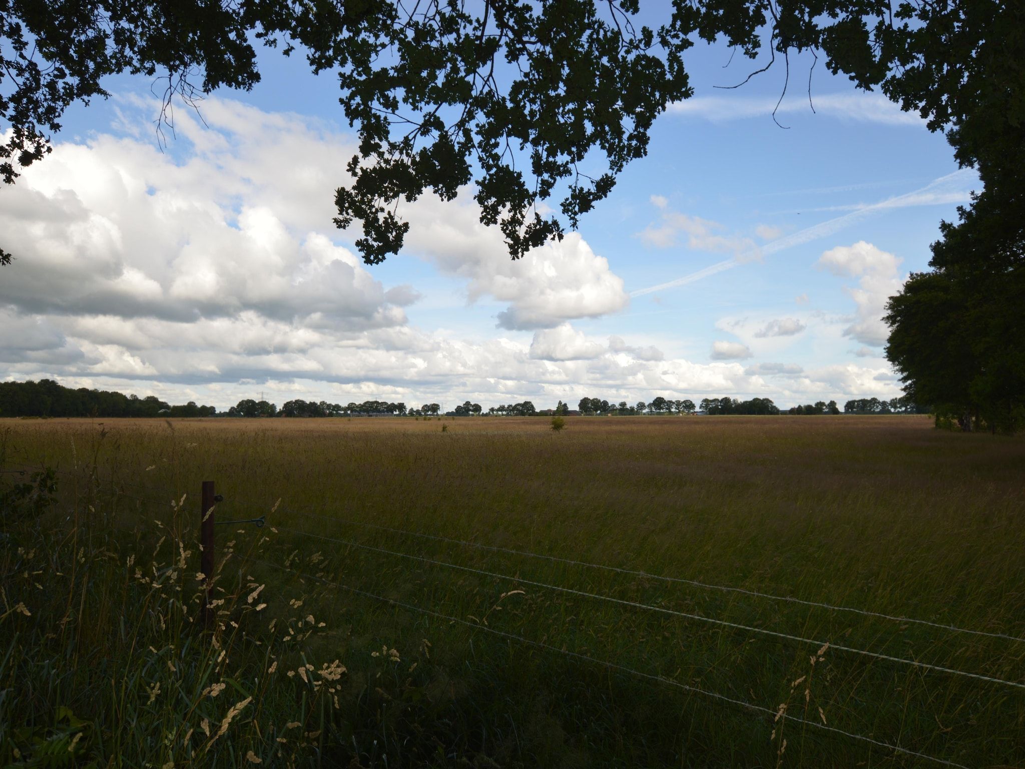 Het uitzicht vanaf Buitenplaats Berg en Bos nummer 13 in Overijssel