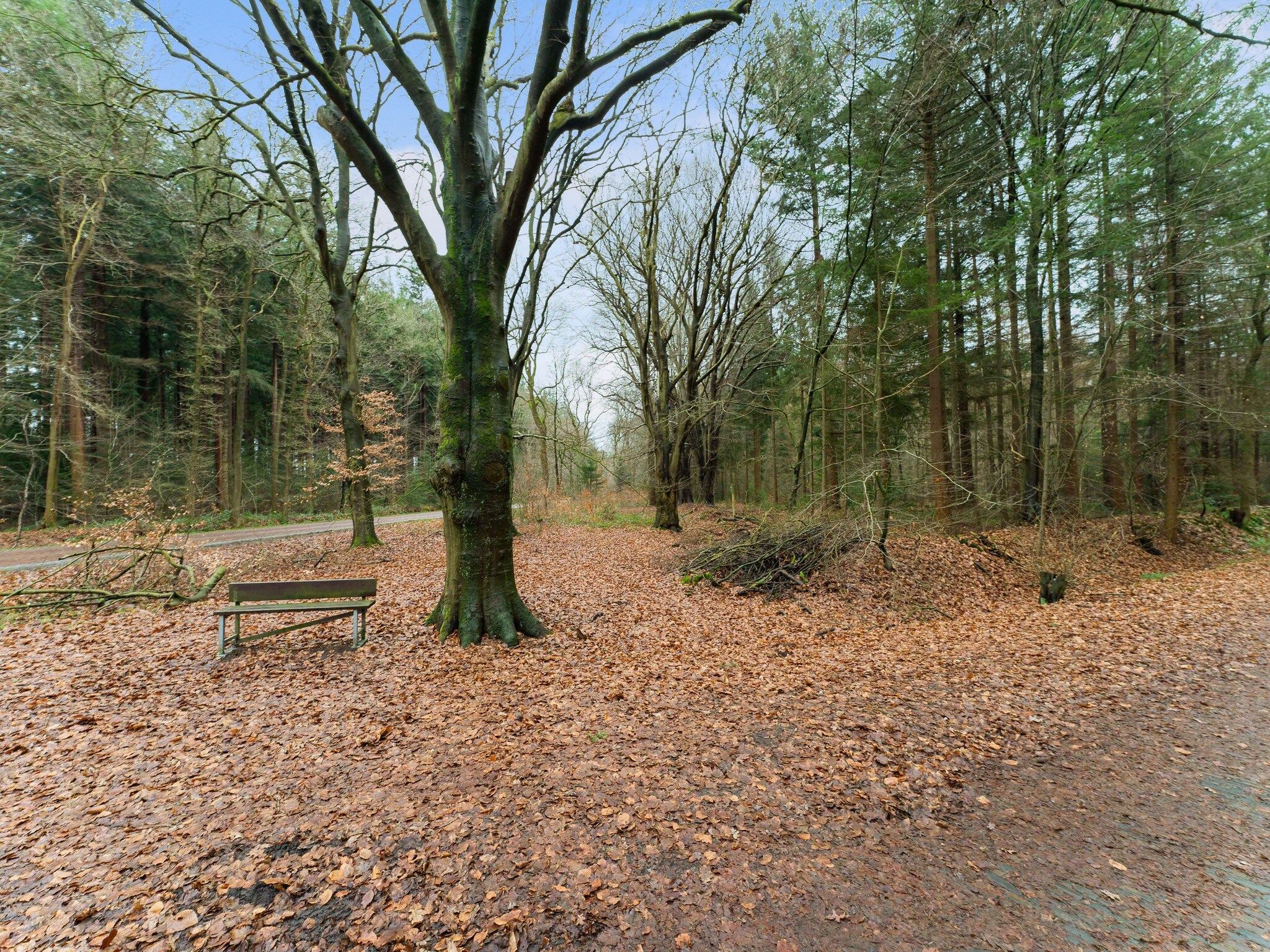 De tuin van Boshuis De Klim in Norg