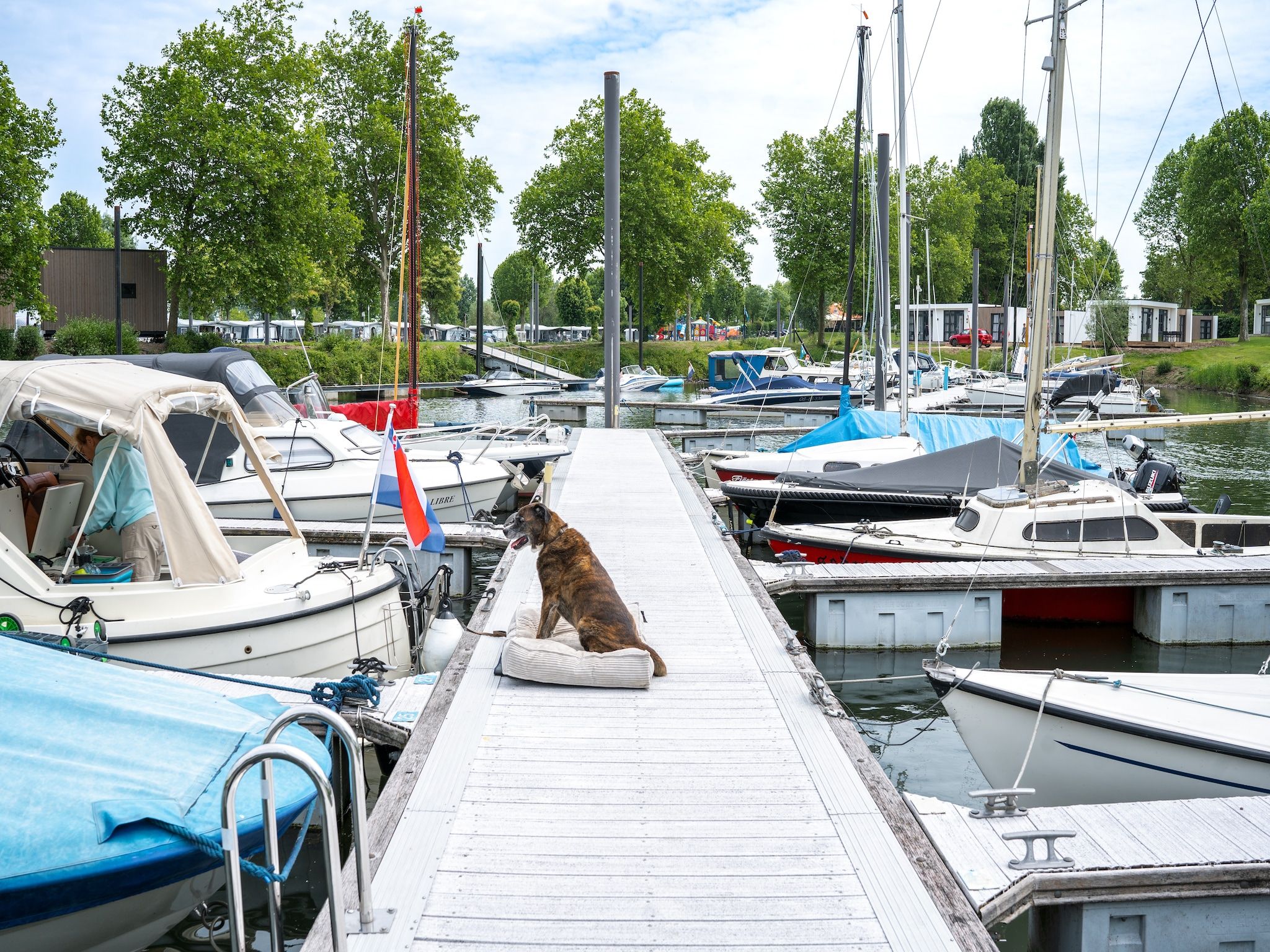 MarinaPark Bad Nederrijn 1 in Maurik - Foto 32 van 35