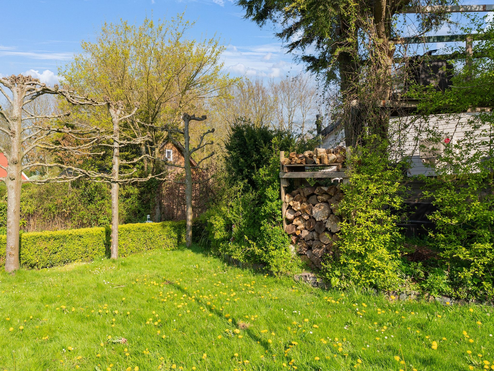De tuin van De Tjiftjaf Huis Nr 21 in Scherpenisse