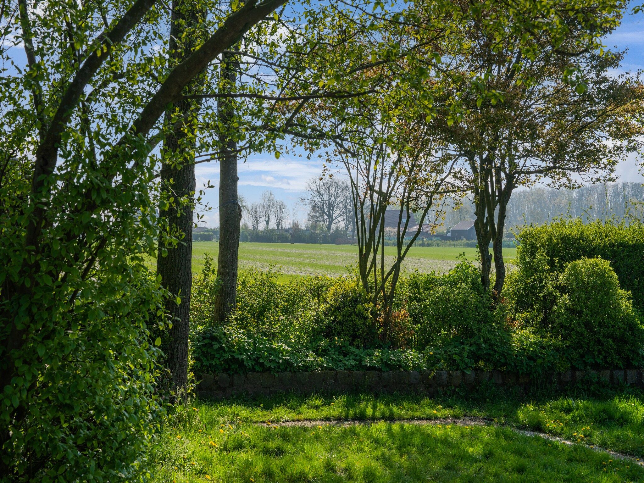 Het uitzicht vanaf De Tjiftjaf Huis Nr 21 in Scherpenisse
