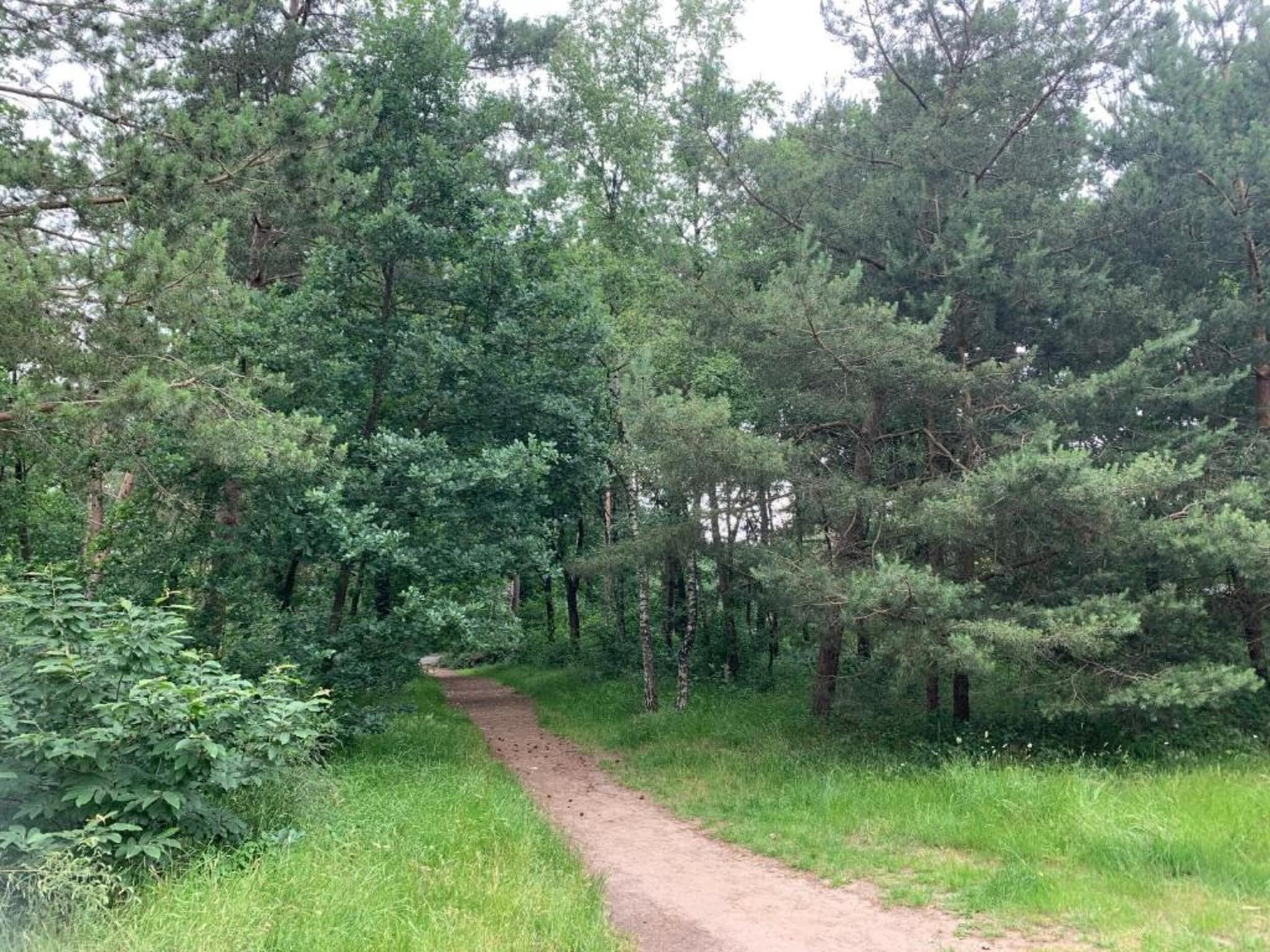 De omgeving van De Veluwse Hoevegaerde 7 in Putten