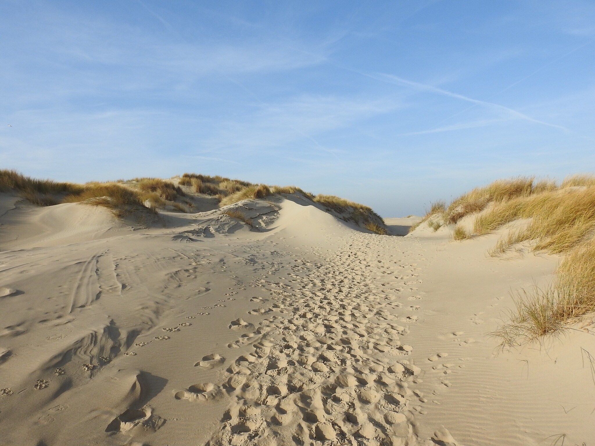 De omgeving van Vakantiepark 't Eibernest Texel 2 in De Cocksdorp