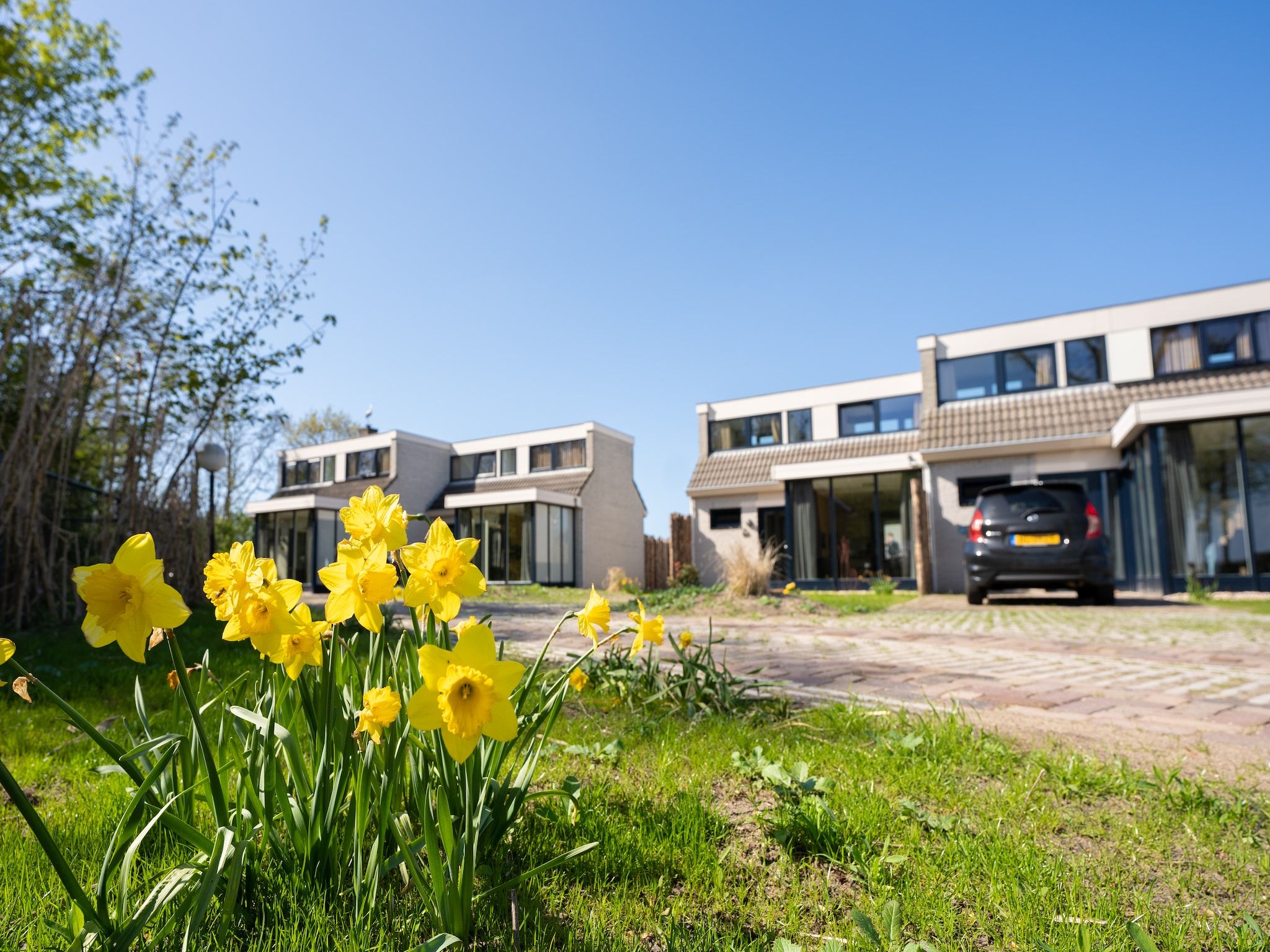 Sfeerbeeld van Vakantiepark 't Eibernest Texel 2 in De Cocksdorp
