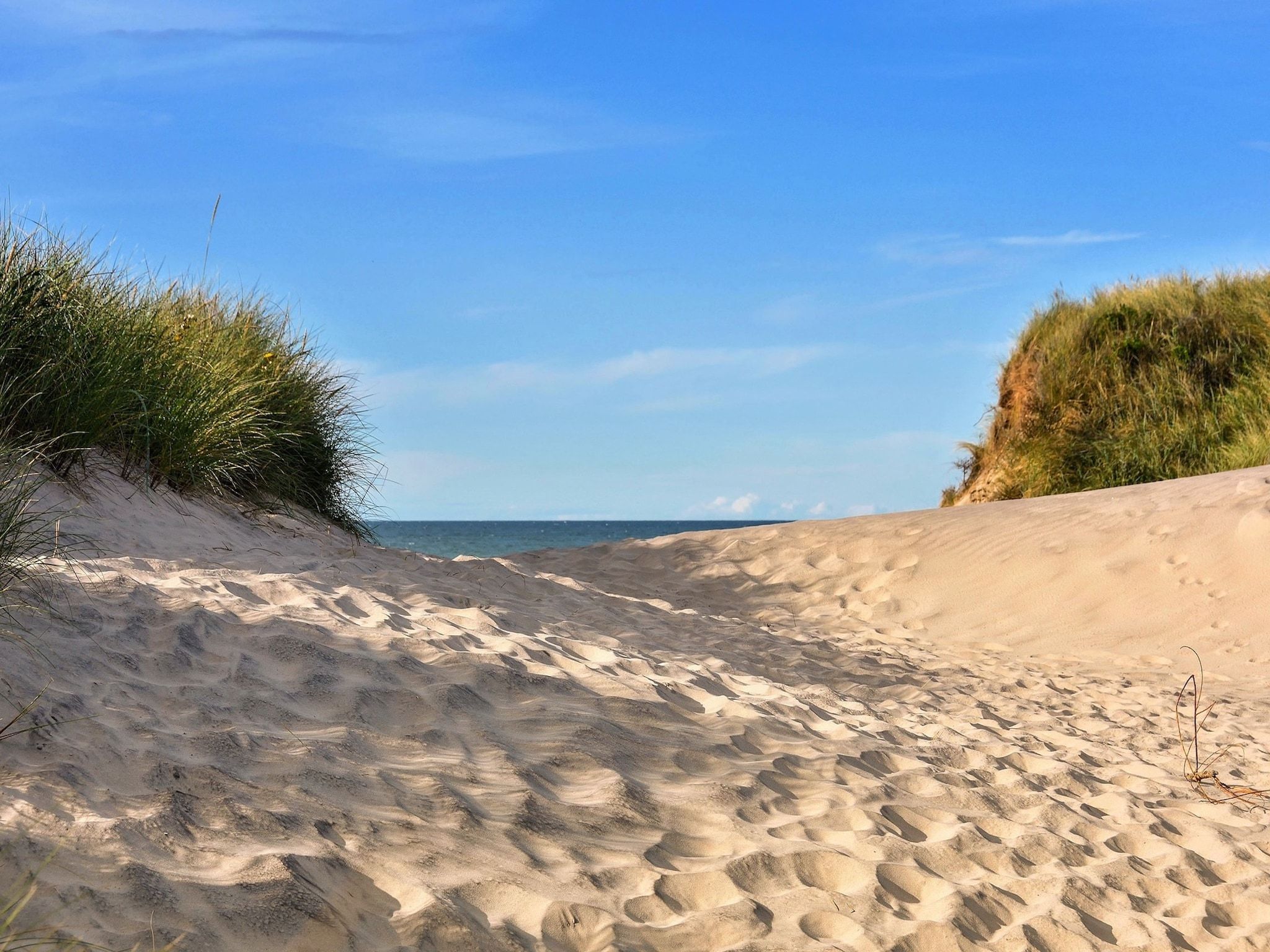 De omgeving van Vakantiepark 't Eibernest Texel 3 in De Cocksdorp