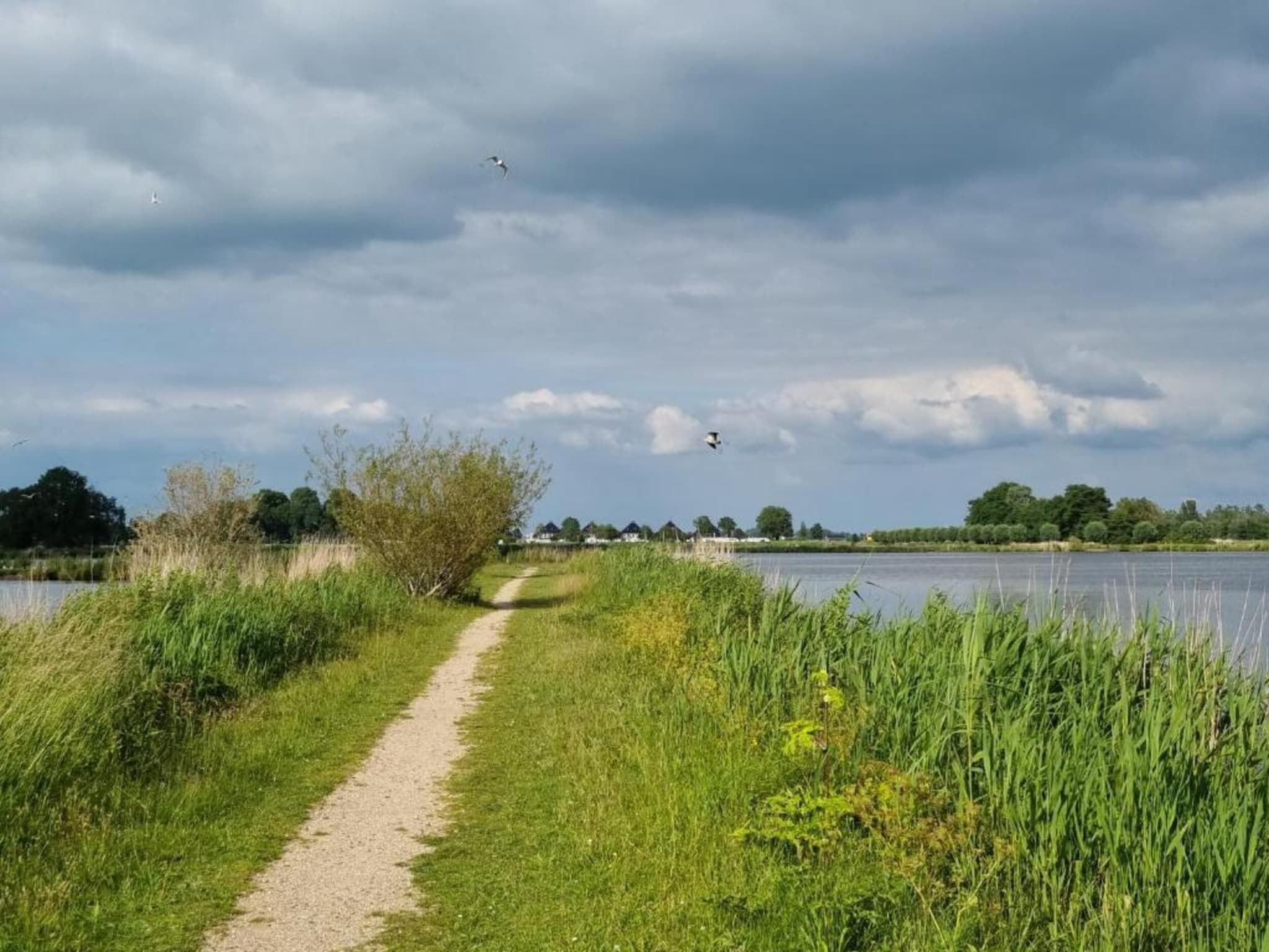 De omgeving van Paviljoenwei 12-24 - begane grond in Offingawier