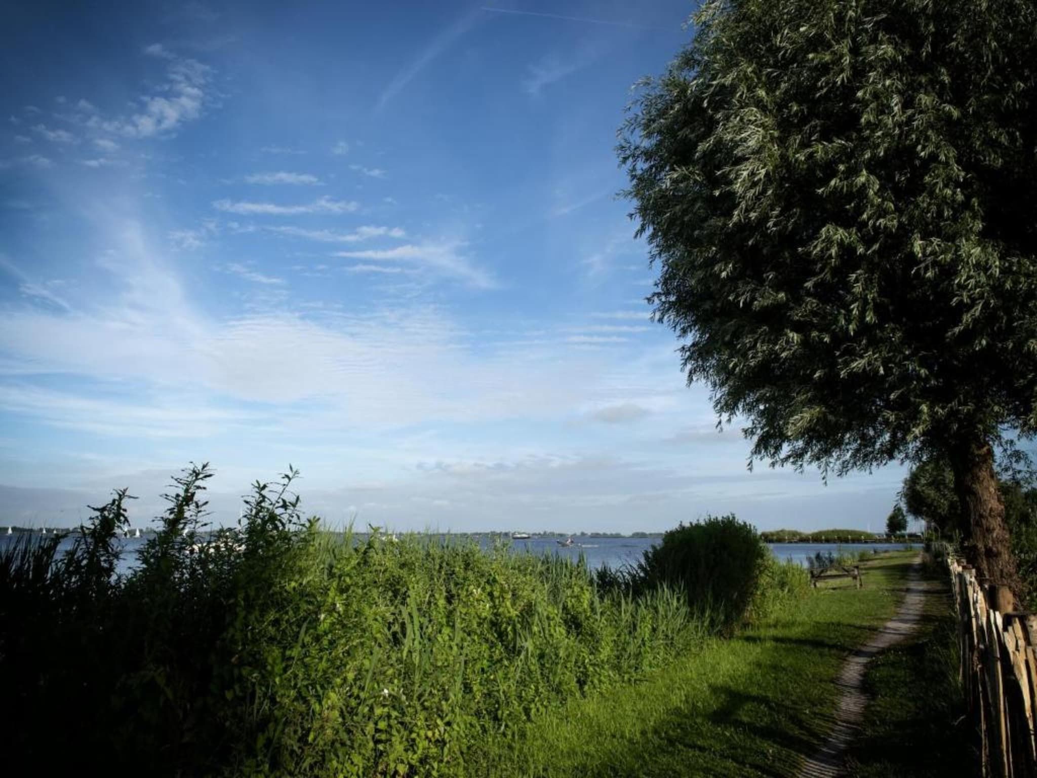 De omgeving van Paviljoenwei 12-24 - begane grond in Offingawier