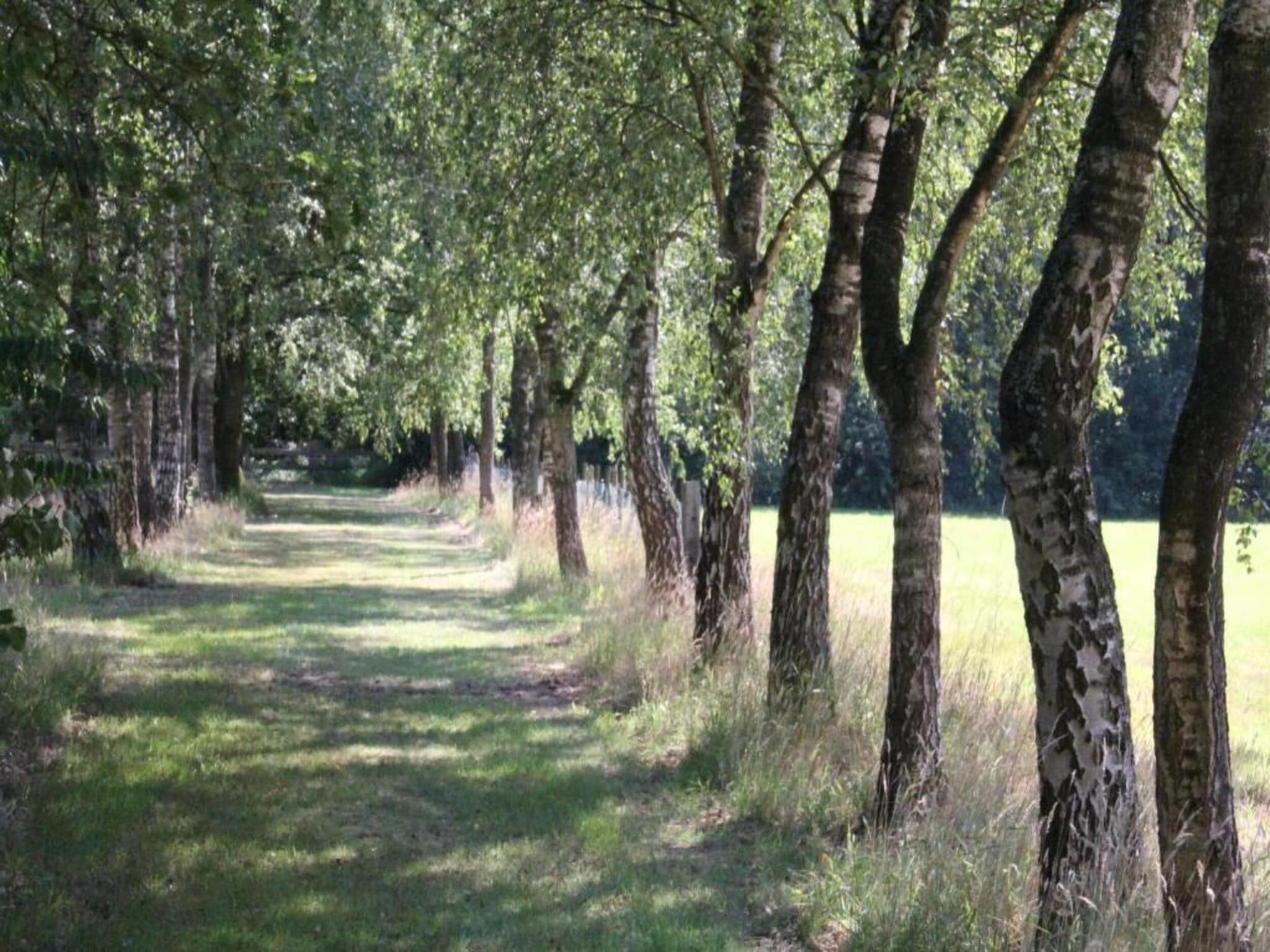 Vakantiepark de Tabaksschuur 4 in Elst - Foto 21 van 26