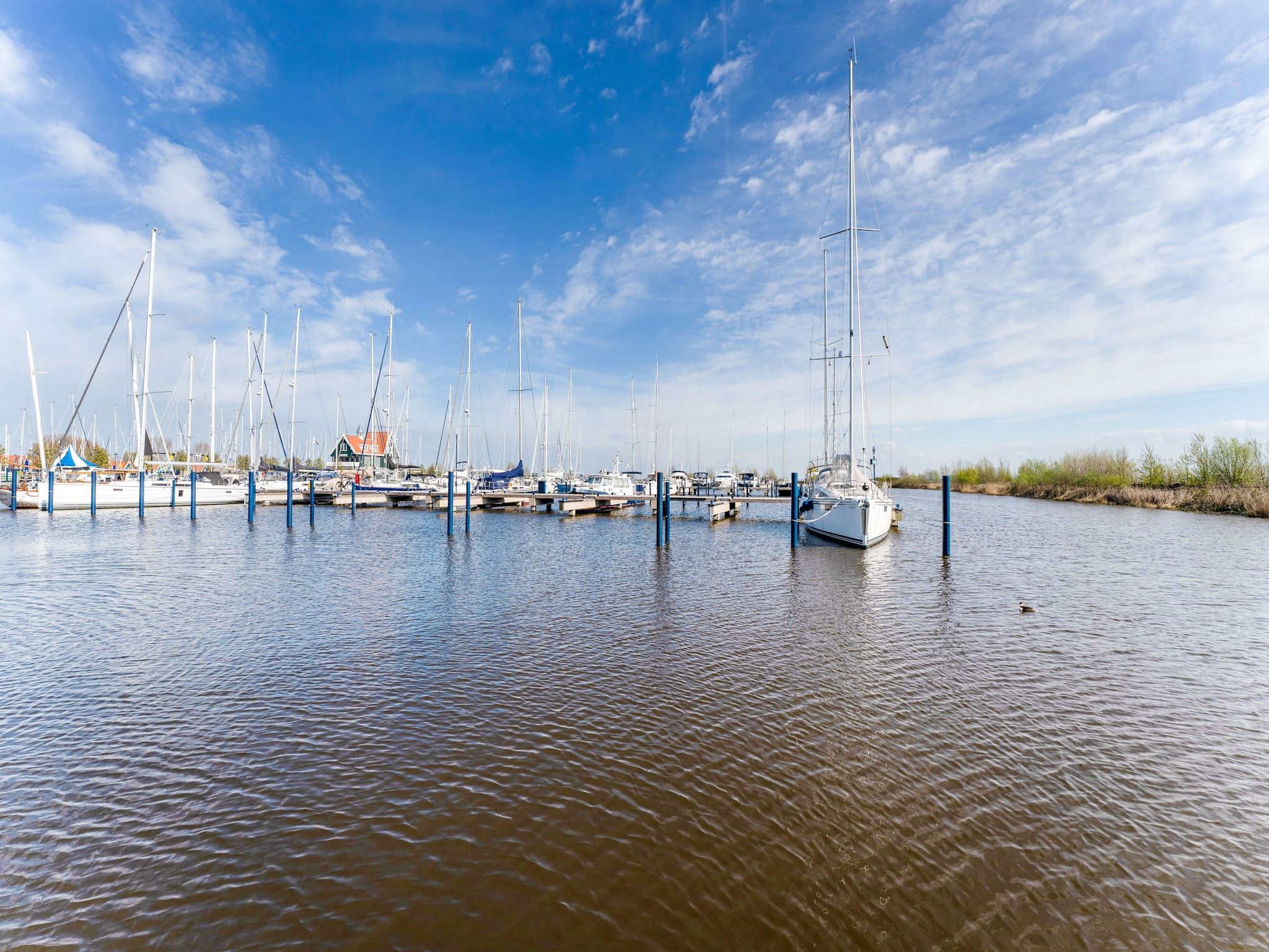 De omgeving van La Belle Vie in Volendam