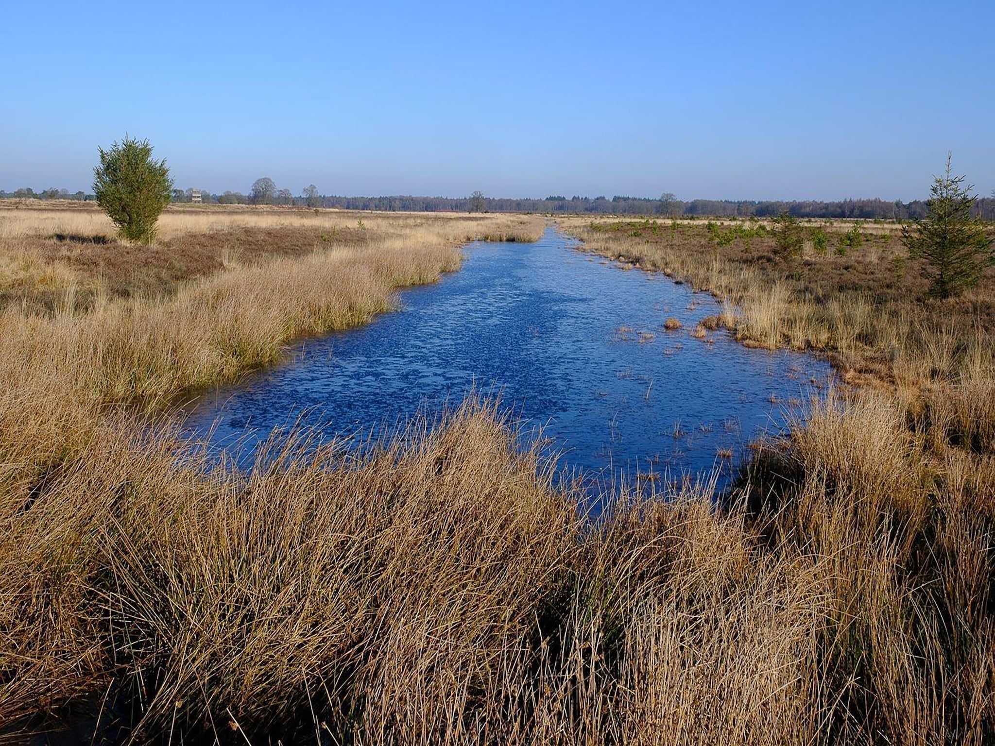 Voorzieningen bij Boshuisje De Koolmees in Appelscha
