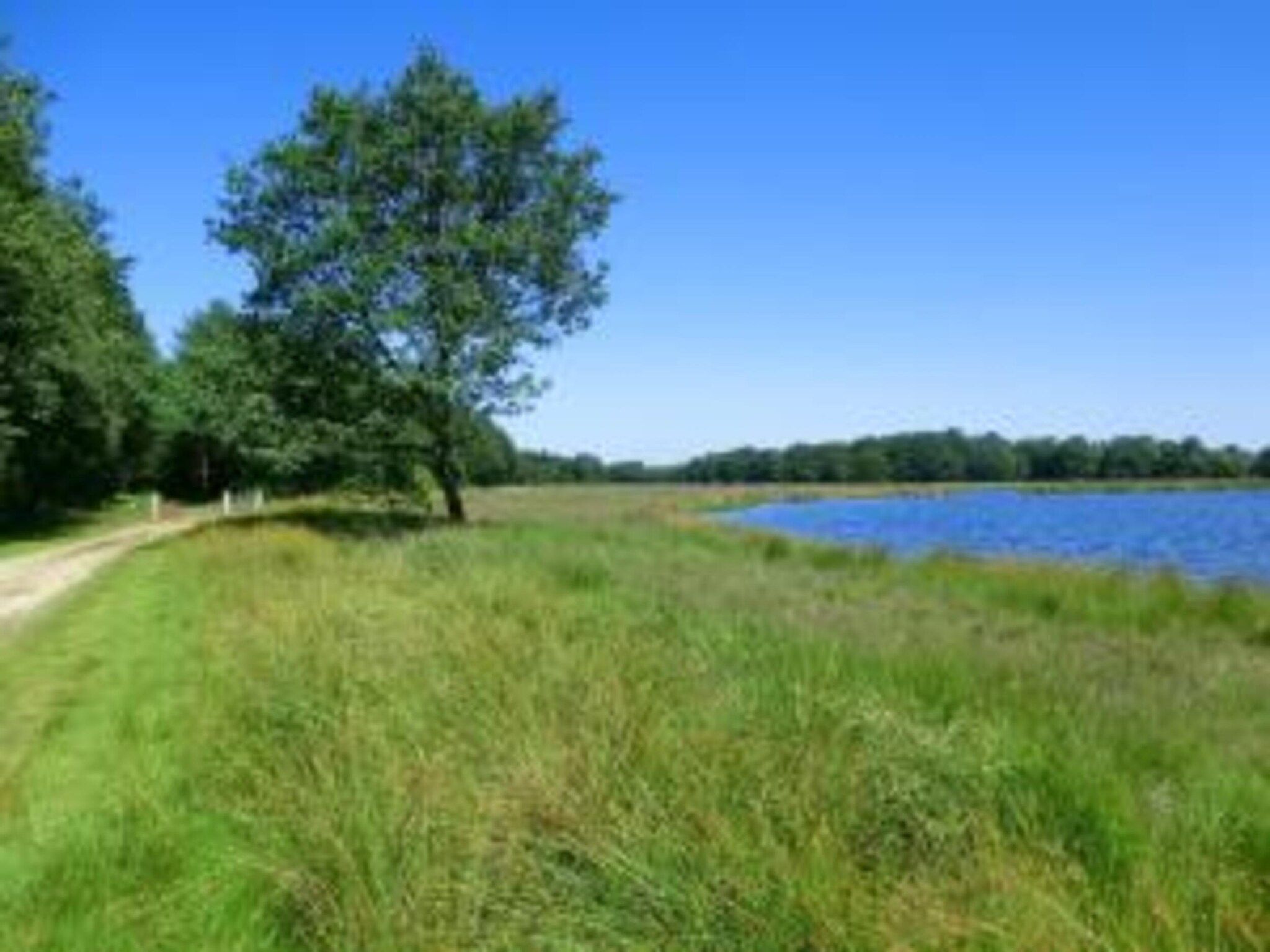 Boshuisje De Koolmees in Appelscha - Foto 38 van 44