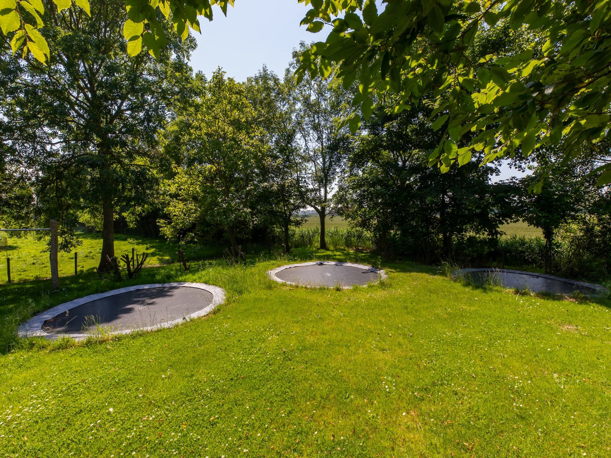 De tuin van Appartement - Kon Emmaweg 6  Vrouwenpolder bovenapp in Vrouwenpolder