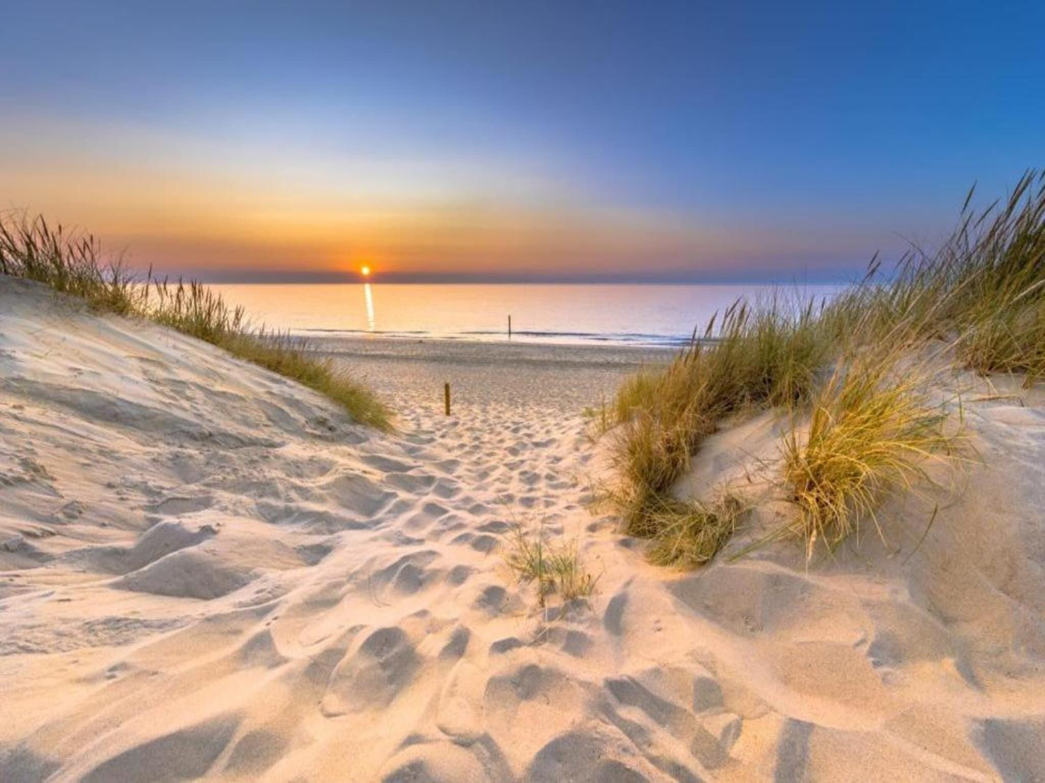 Vakantiepark Hof van Zeeland 2 in Heinkenszand - Foto 37 van 40