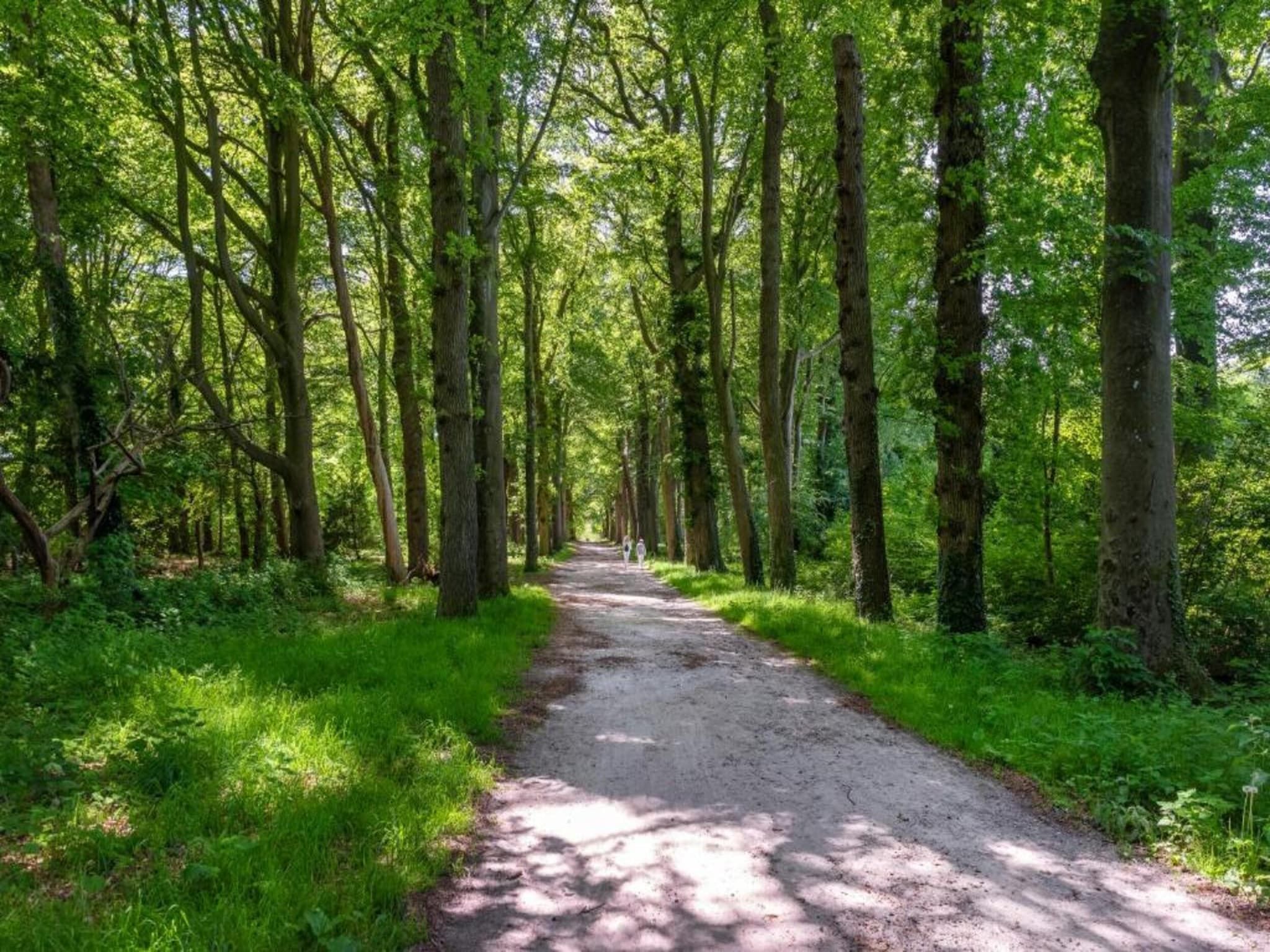 Resort de Parel 4 in Zeewolde - Foto 40 van 40