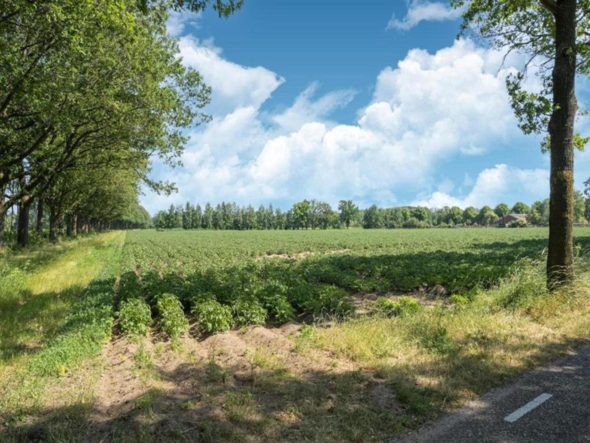 De Mattelier in Groenlo - Foto 18 van 40