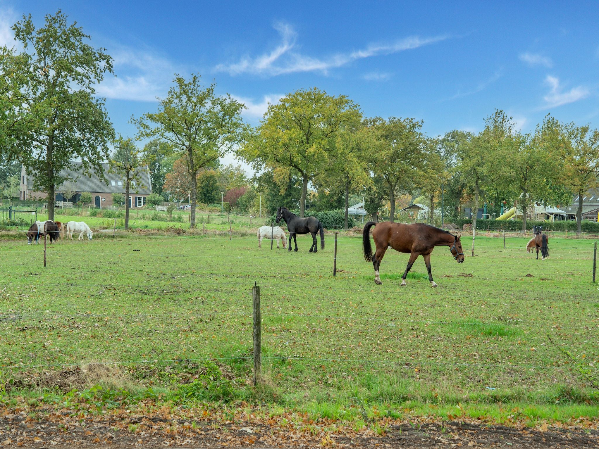 De tuin van NR 5 in Goirle