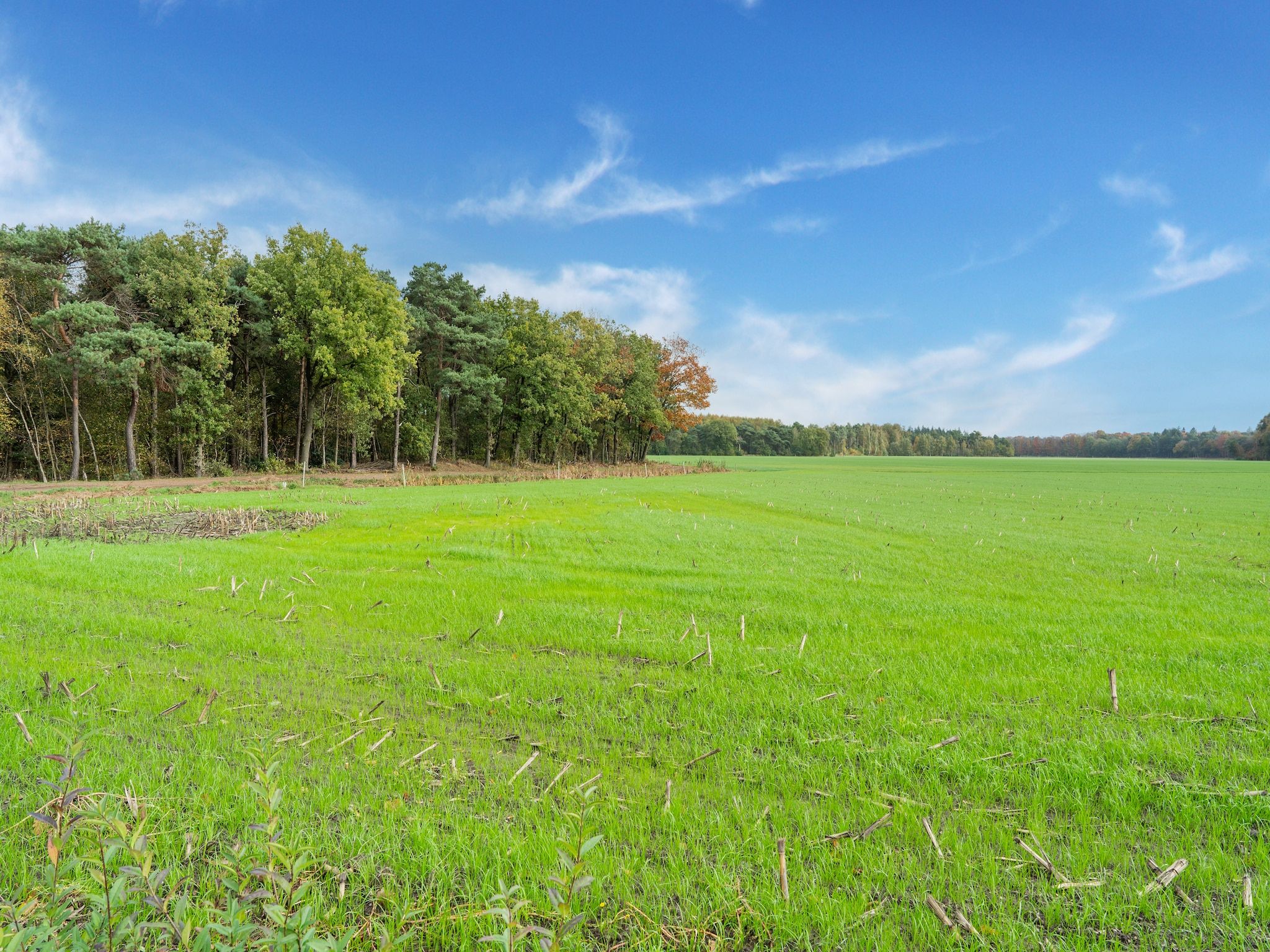 De omgeving van NR 5 in Goirle