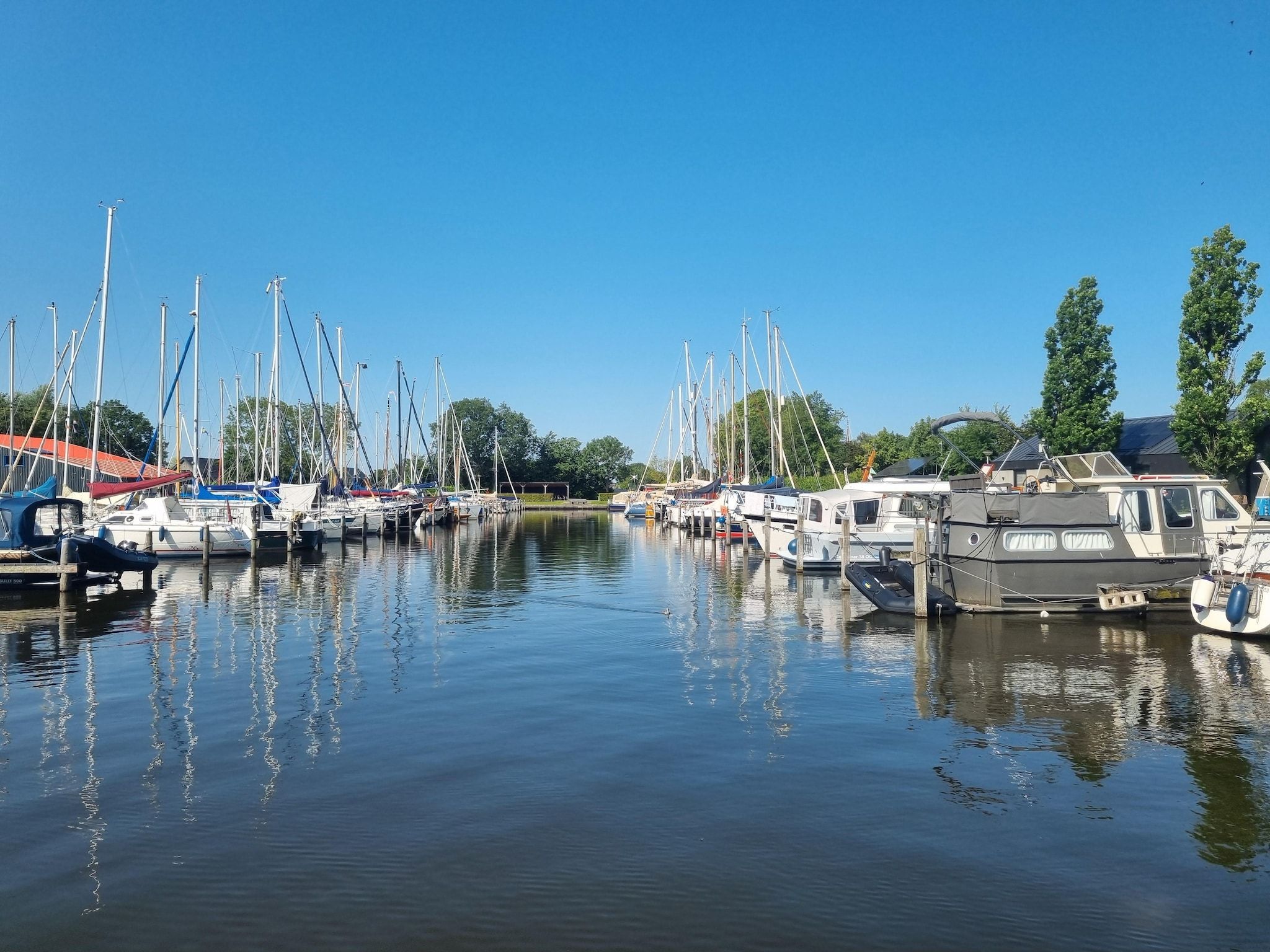 De omgeving van Watervilla Acht in Balk
