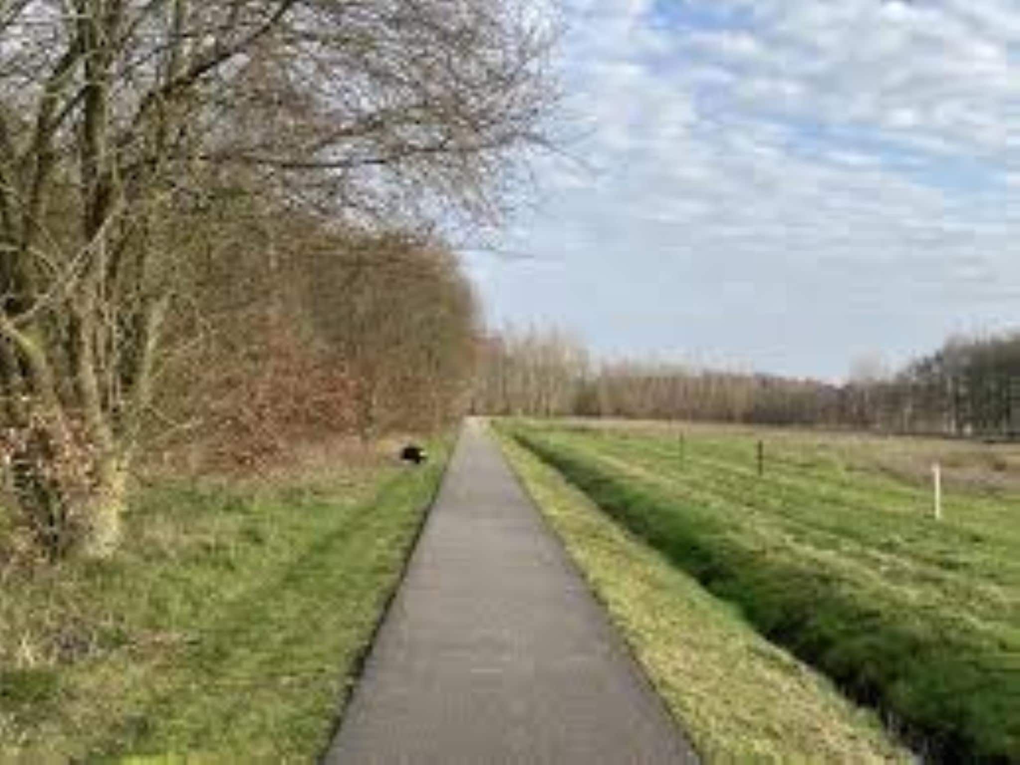 De omgeving van Wellness lodge Grutto 2p in Dalerveen