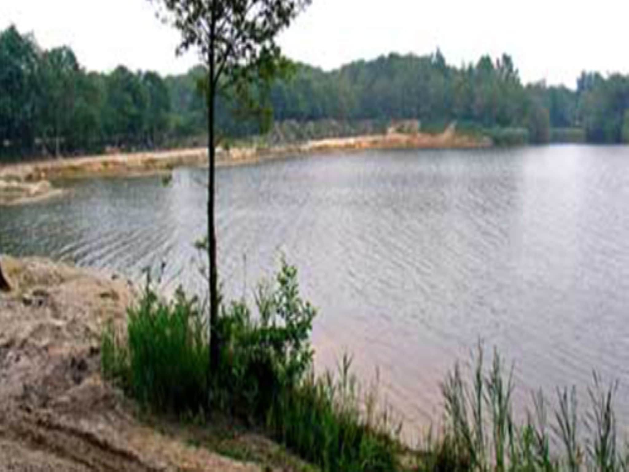 De omgeving van Wellness lodge Grutto 2p in Dalerveen