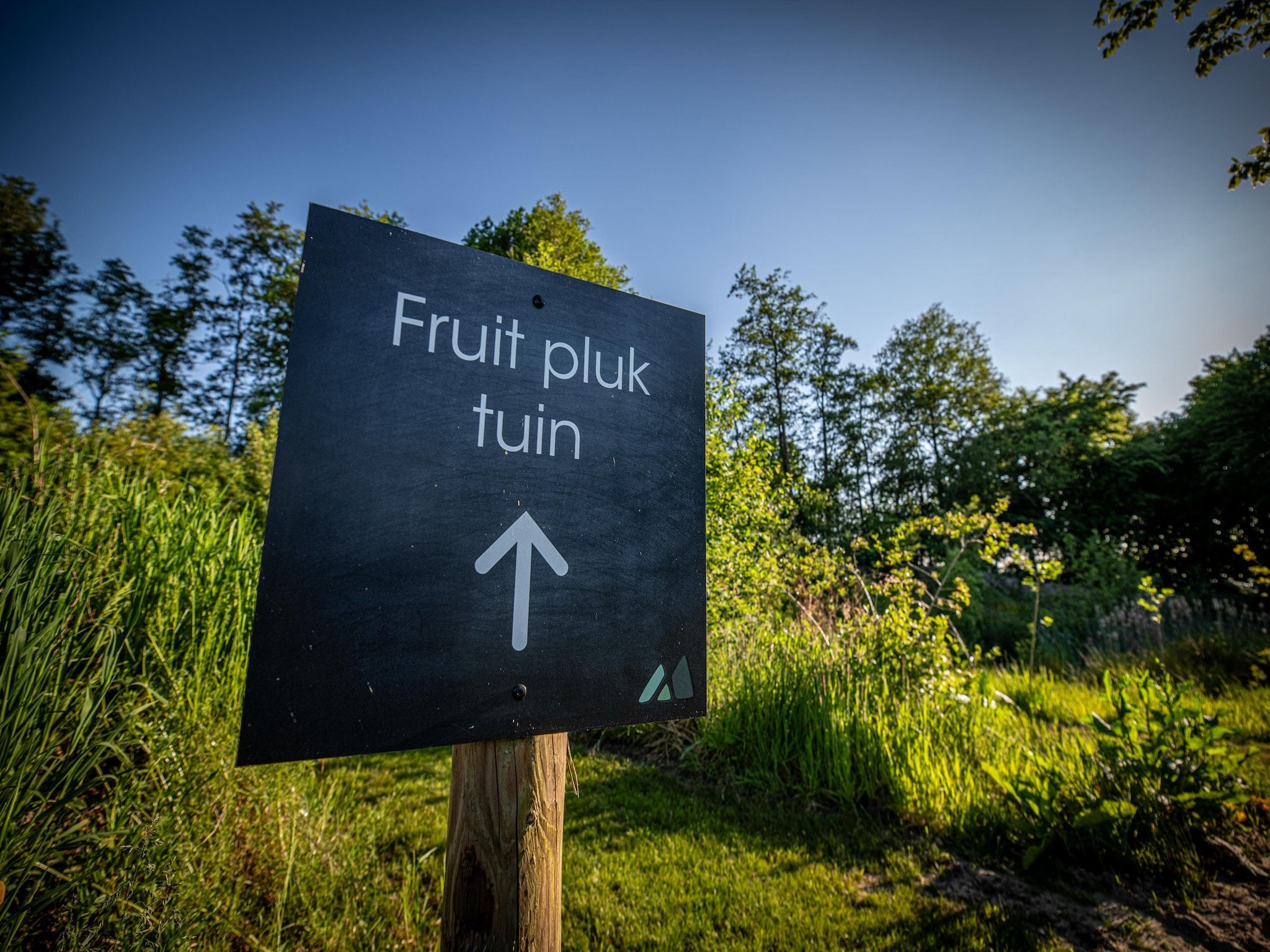 Sfeerbeeld van Wellness lodge Grutto 2p in Dalerveen