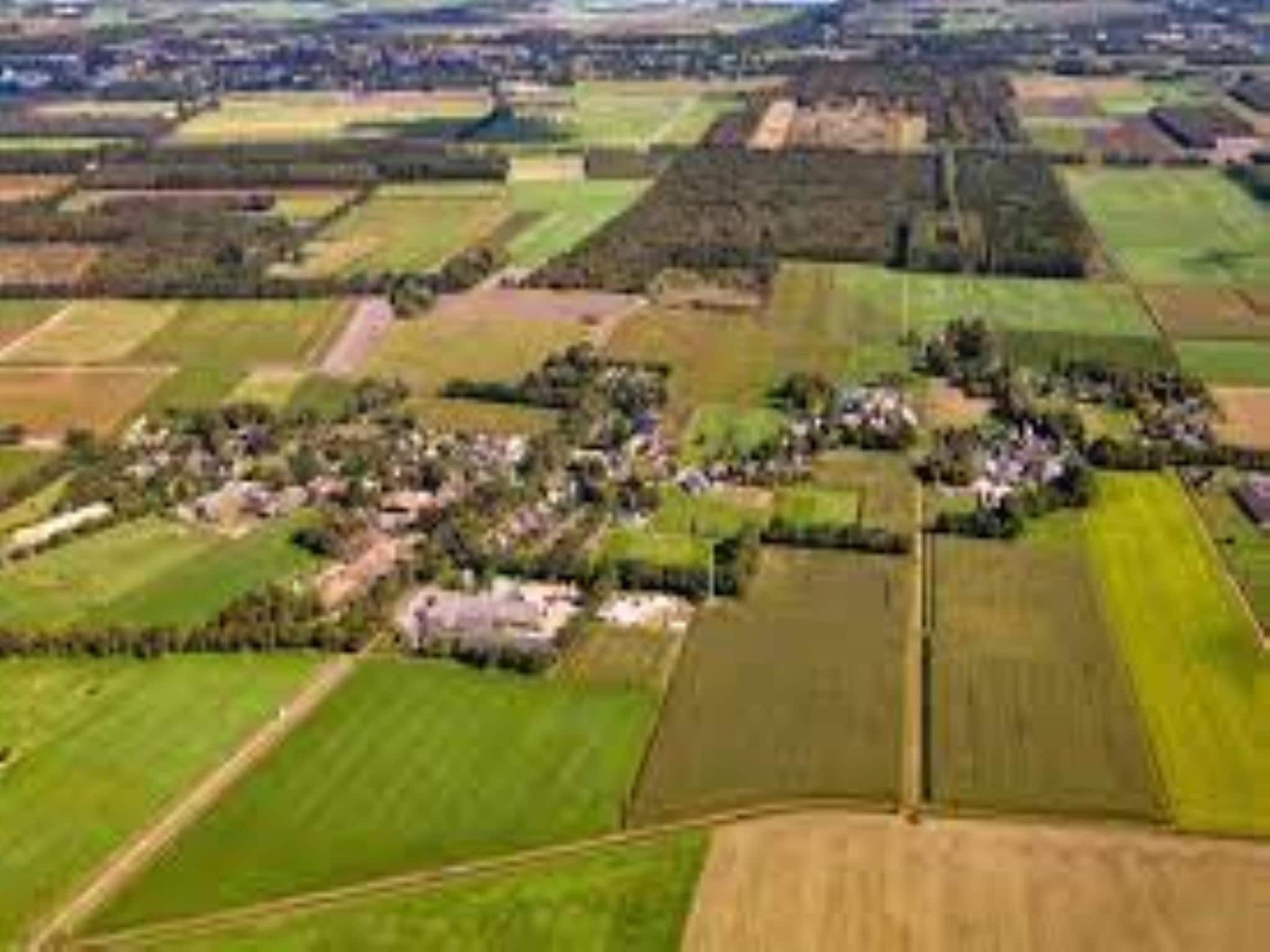 De omgeving van Wellnesslodge Scholekster 4p in Dalerveen
