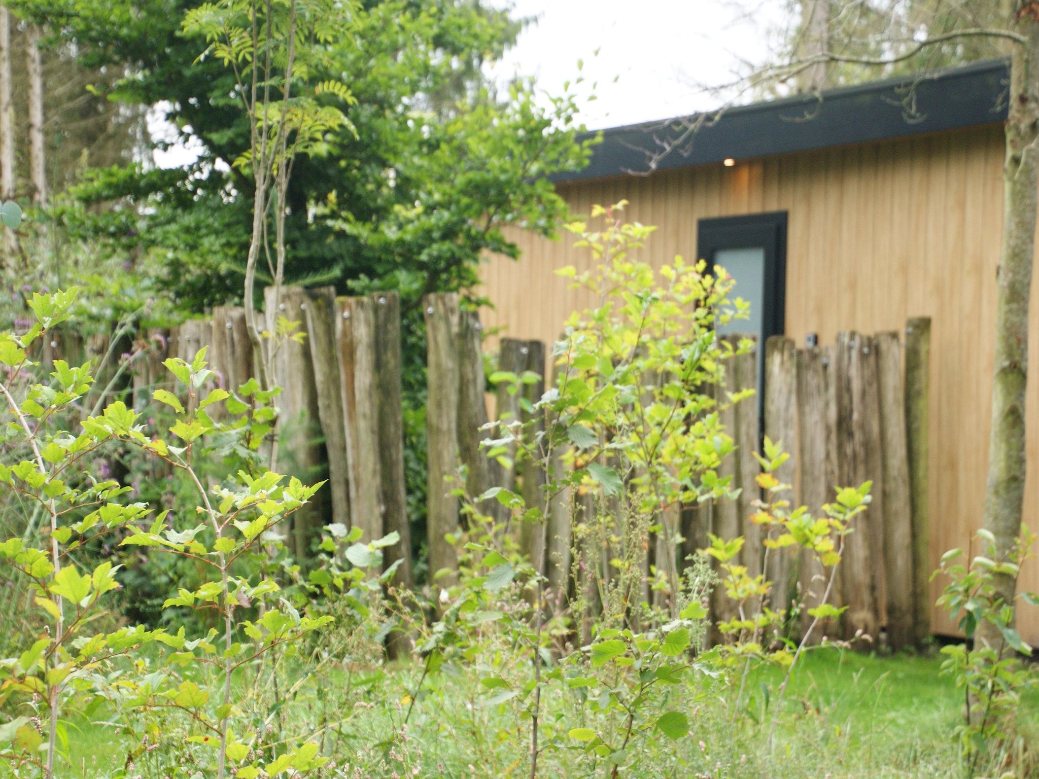 De tuin van Wellnesslodge Scholekster 4p in Dalerveen