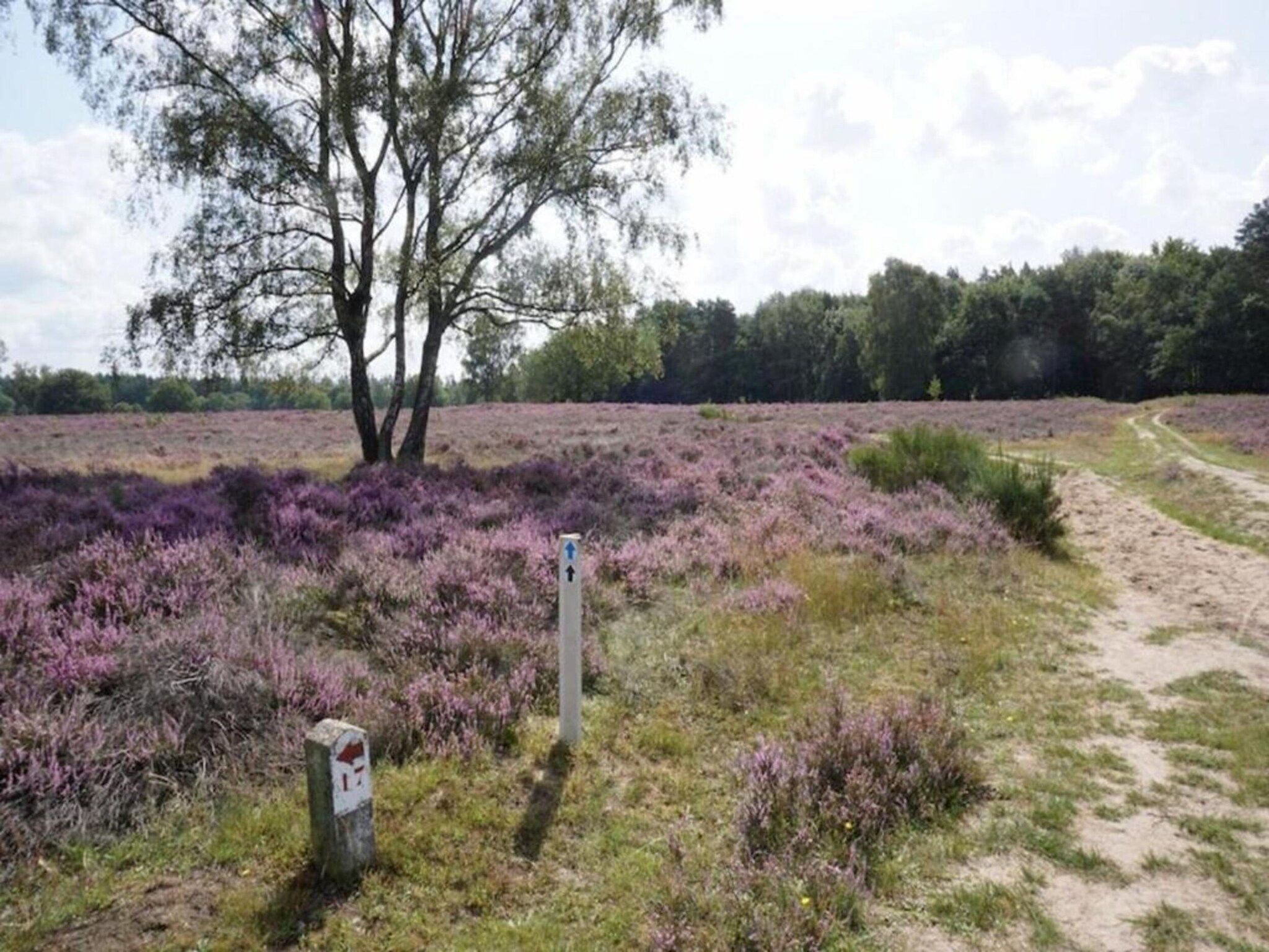 De omgeving van Vakantiepark Hellendoorn 1 in Hellendoorn