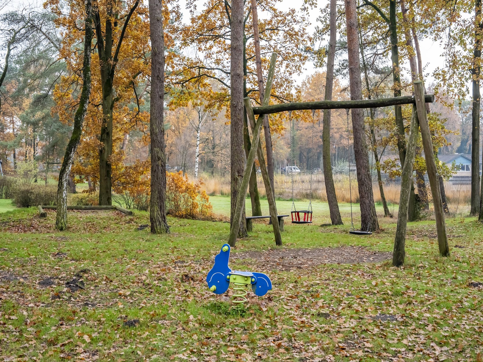 De tuin van Vosseven 73 Maretak in Stramproy
