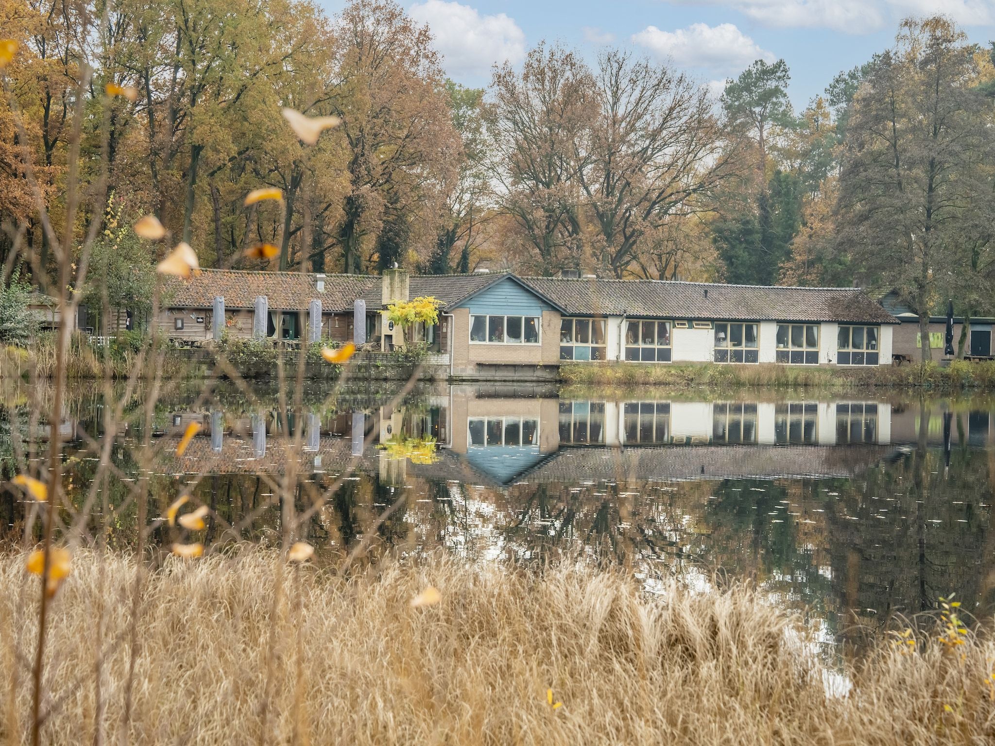 De omgeving van Vosseven 73 Maretak in Stramproy