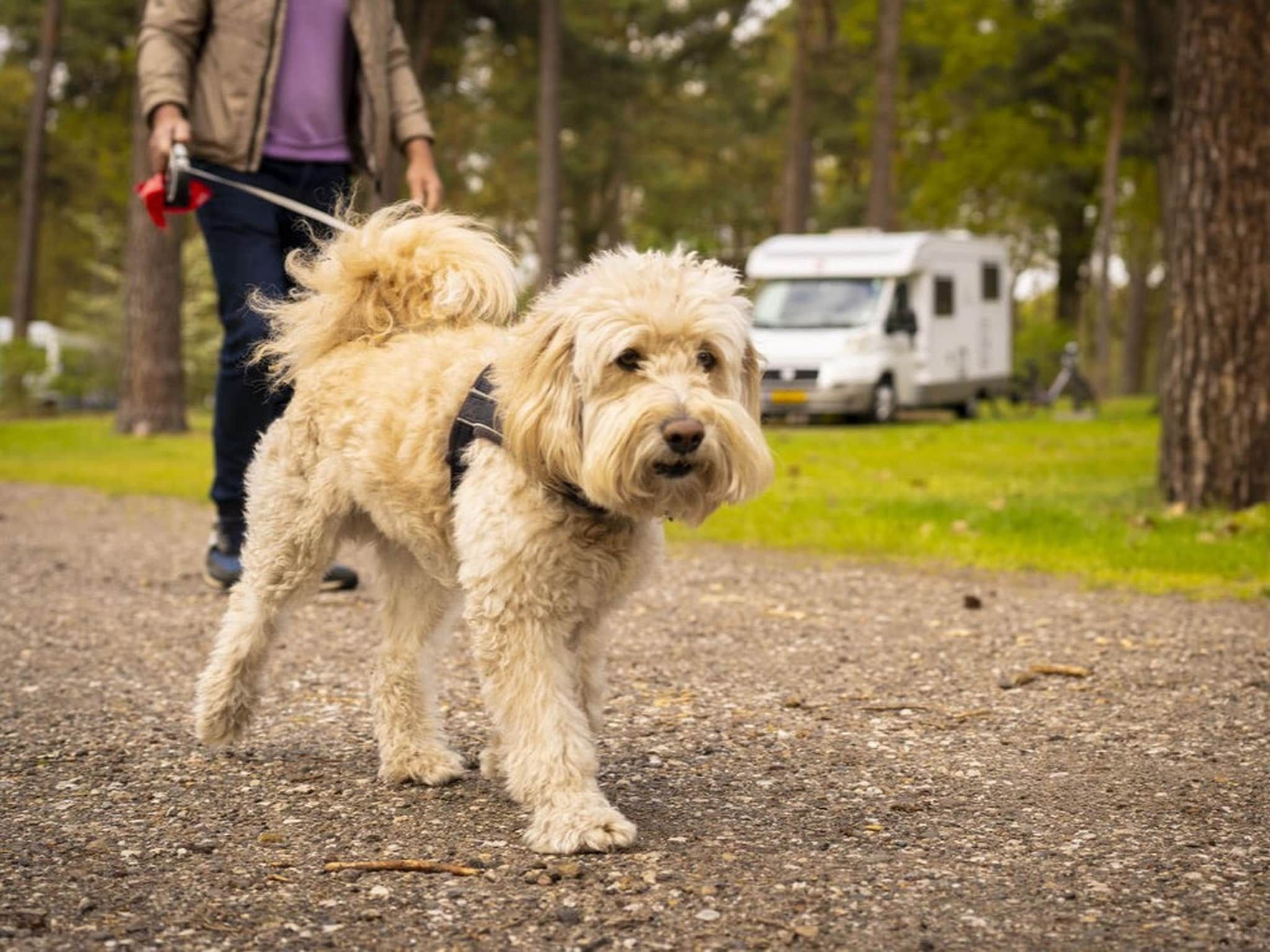 Parkfaciliteiten bij Bospark 't Wolfsven 16 in Mierlo