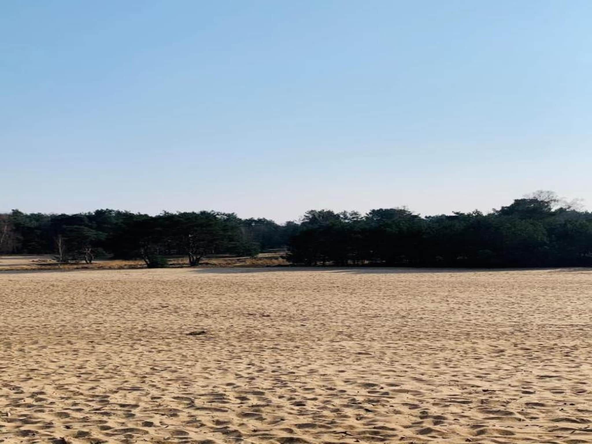De omgeving van Vakantiepark Schaijk 7 in Schaijk