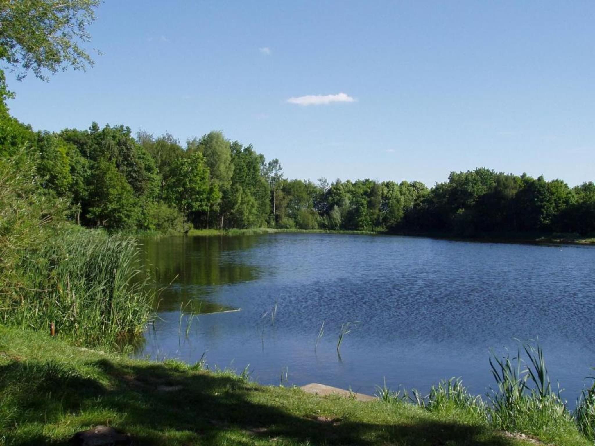 De omgeving van Vakantiepark Schaijk 8 in Schaijk