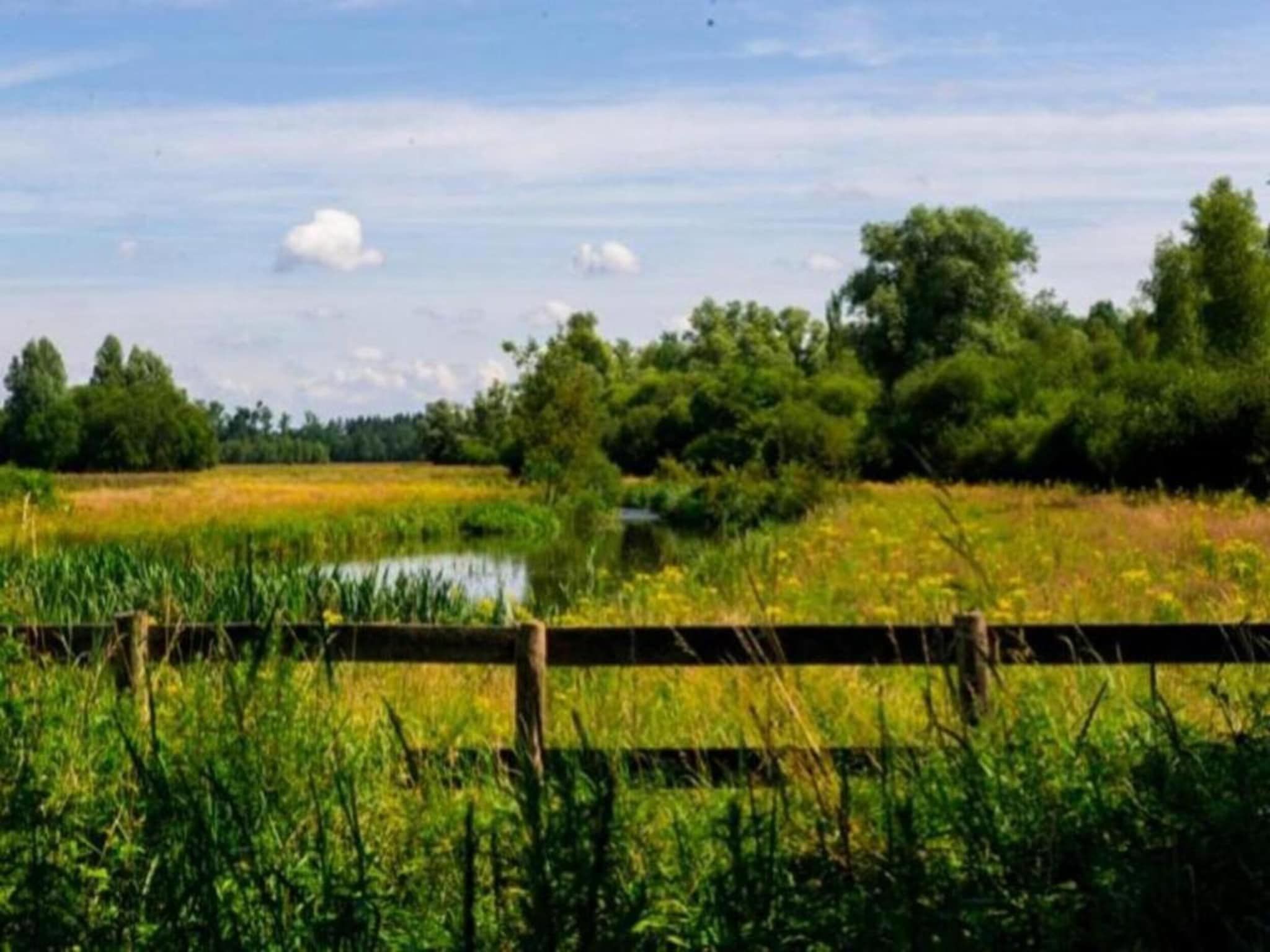 De omgeving van Vakantiepark Schaijk 8 in Schaijk