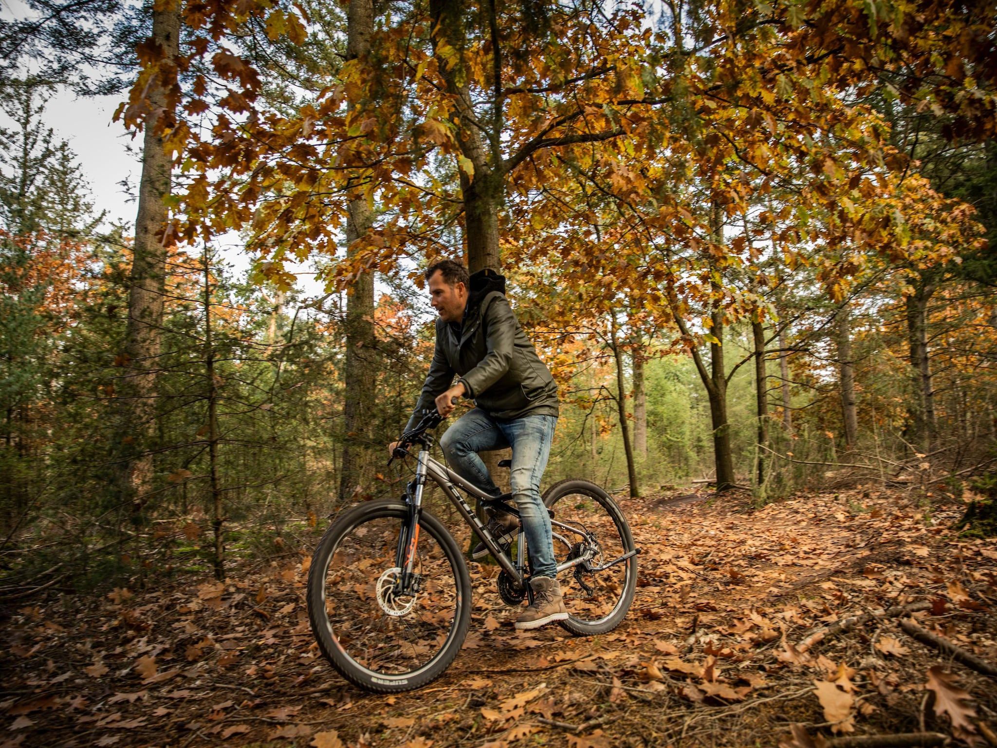Sfeerbeeld van Vakantiepark De Heihorsten 9 in Someren