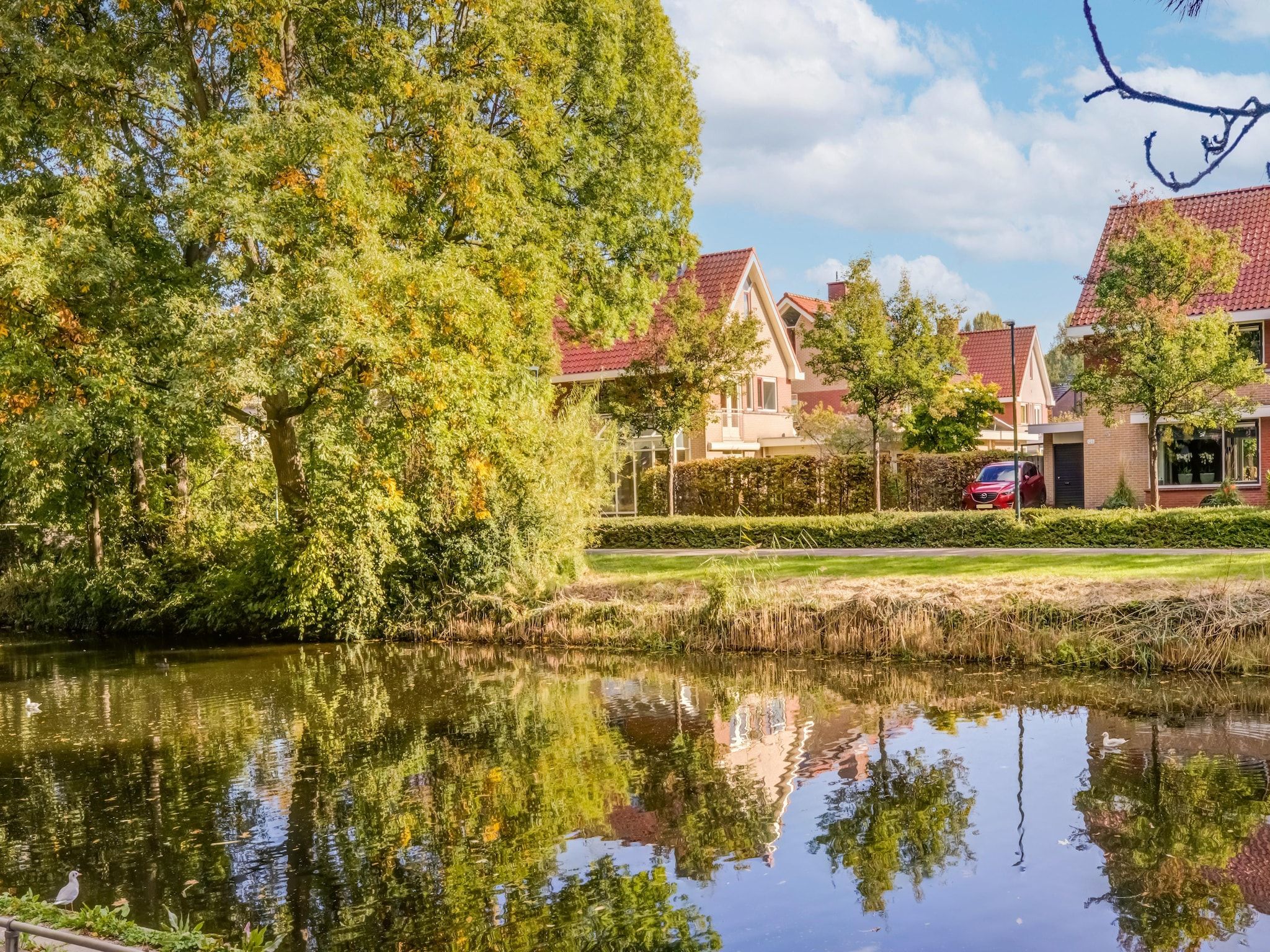 De tuin van Vakantiewoning Blauw in Hoorn