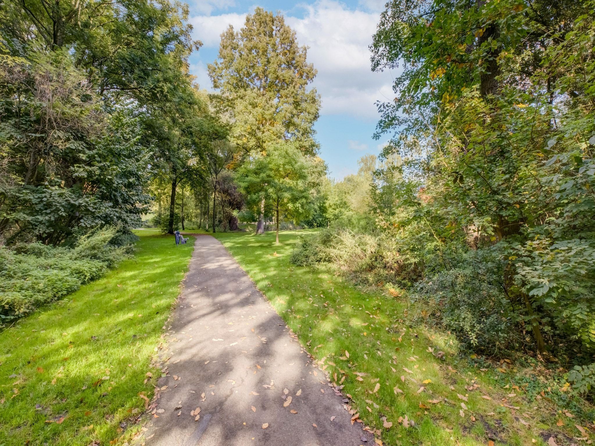 De tuin van Vakantiewoning Blauw in Hoorn
