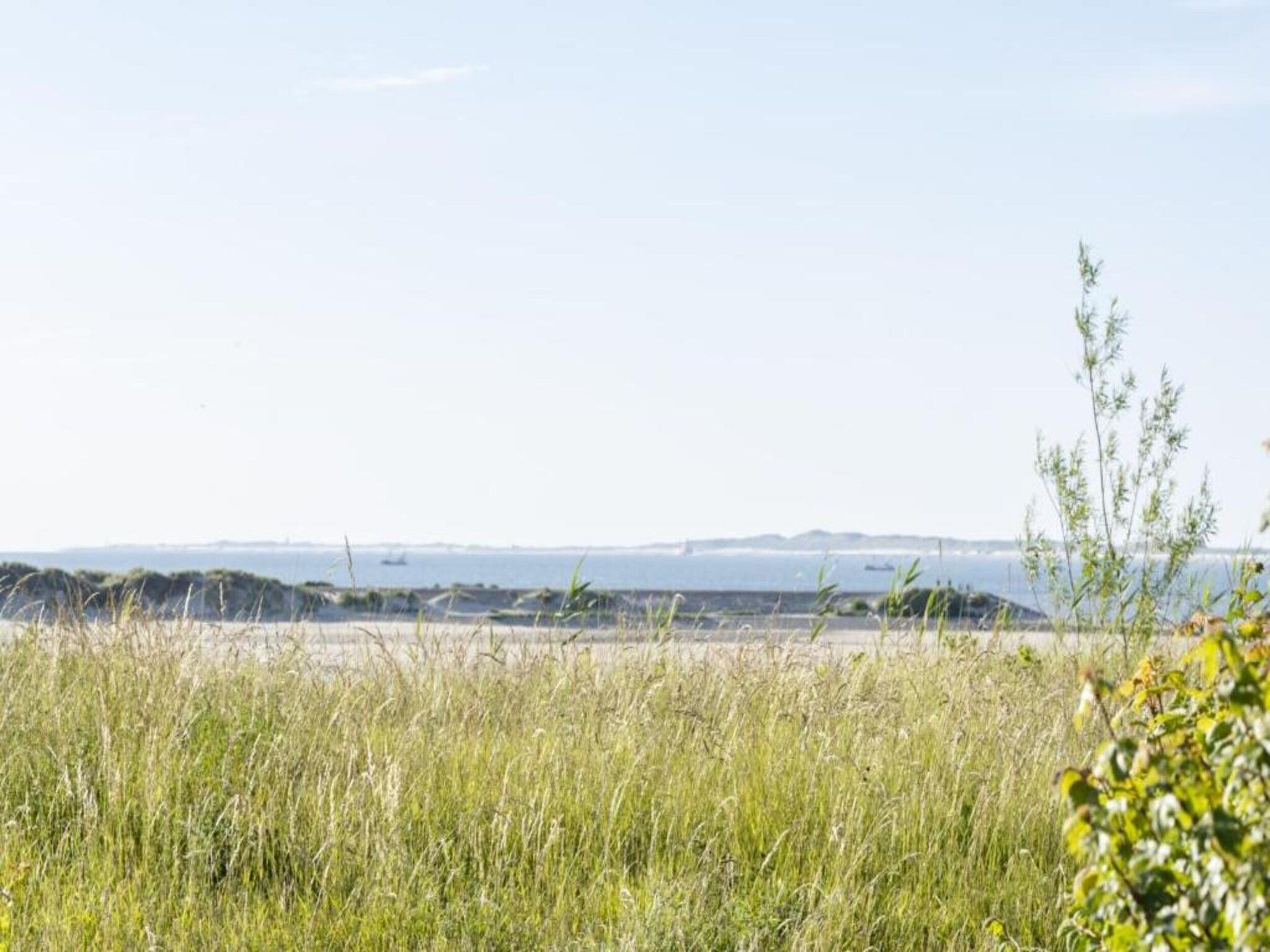 De omgeving van Vakantiepark Zeebad 14 in Breskens