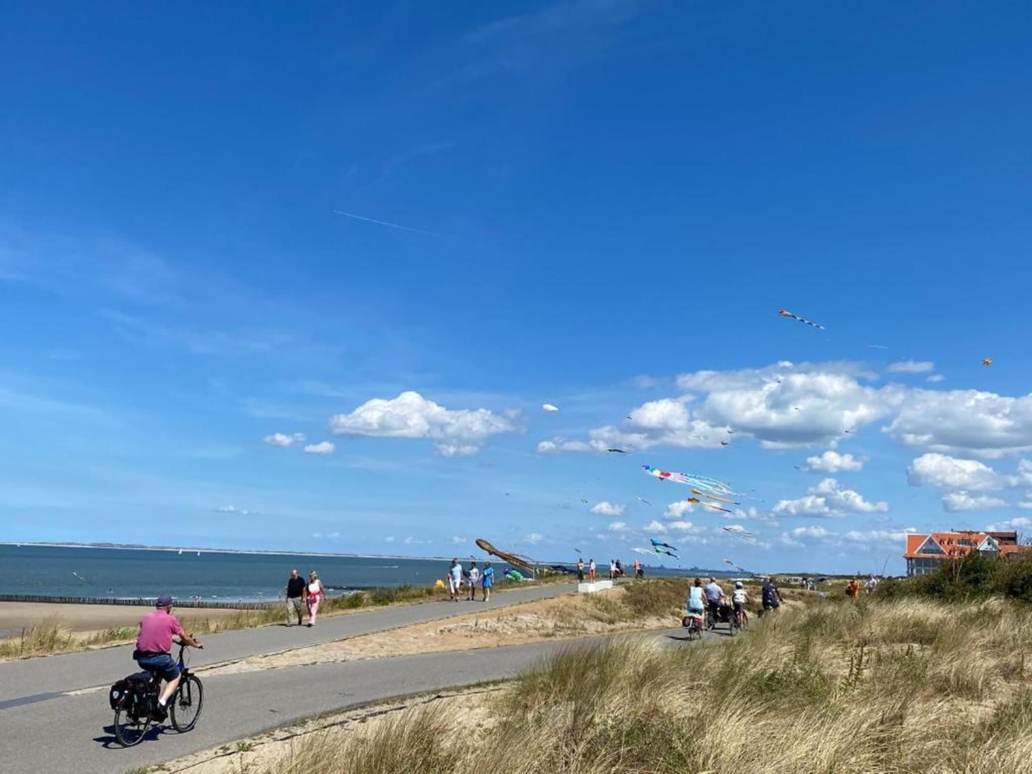 De omgeving van Vakantiepark Zeebad 14 in Breskens
