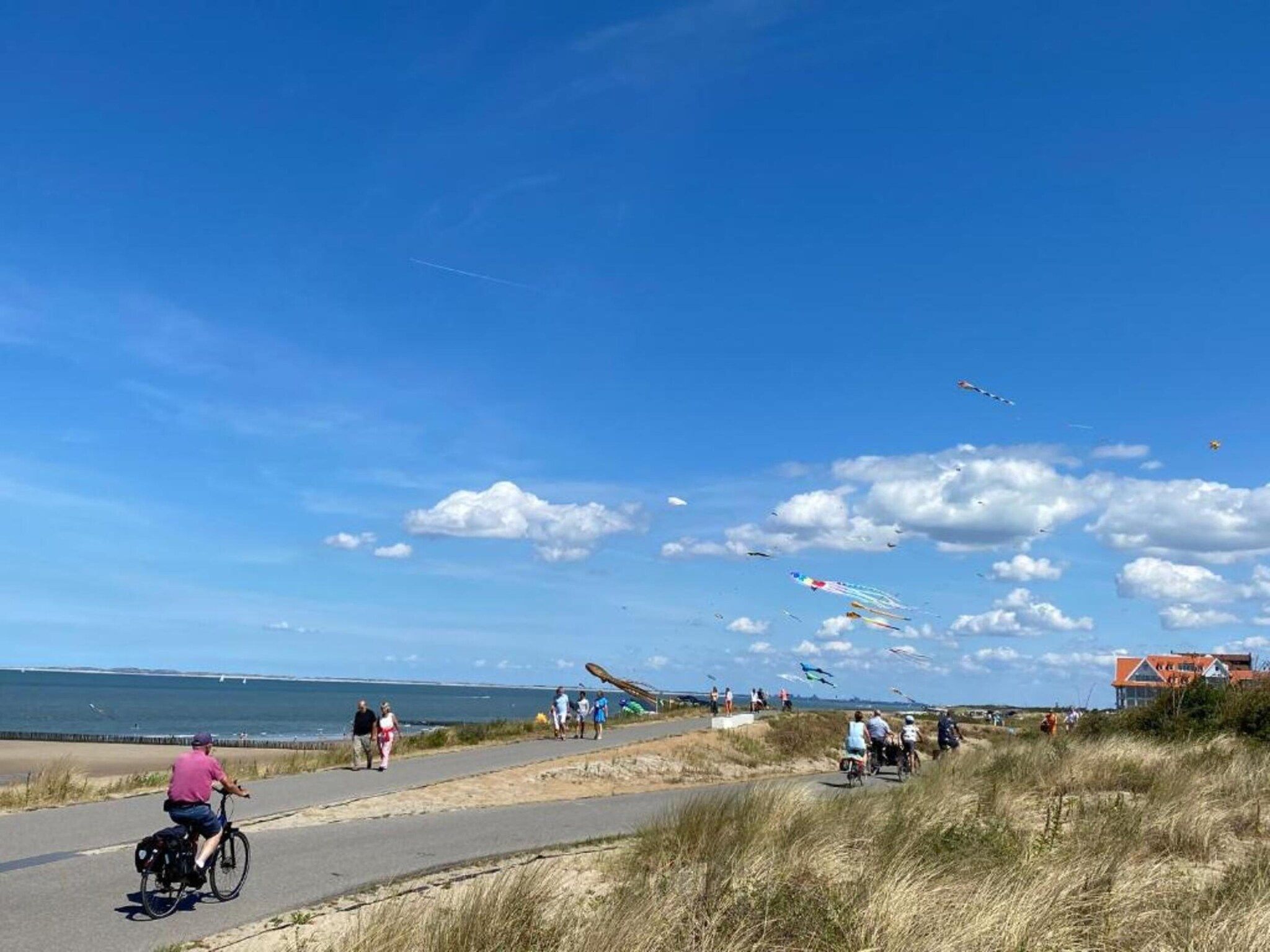 De omgeving van Vakantiepark Zeebad 18 in Breskens