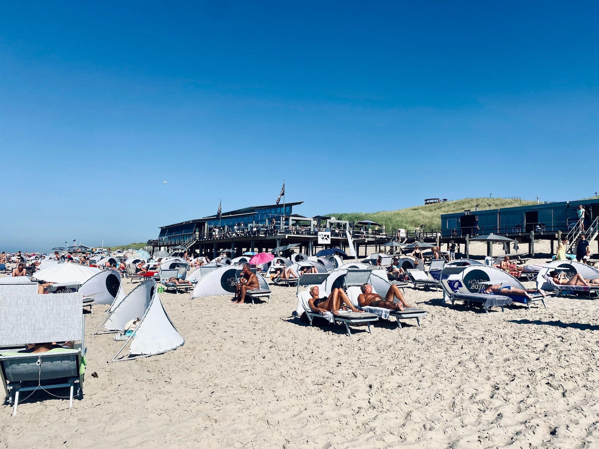 De omgeving van INFINITY in Callantsoog