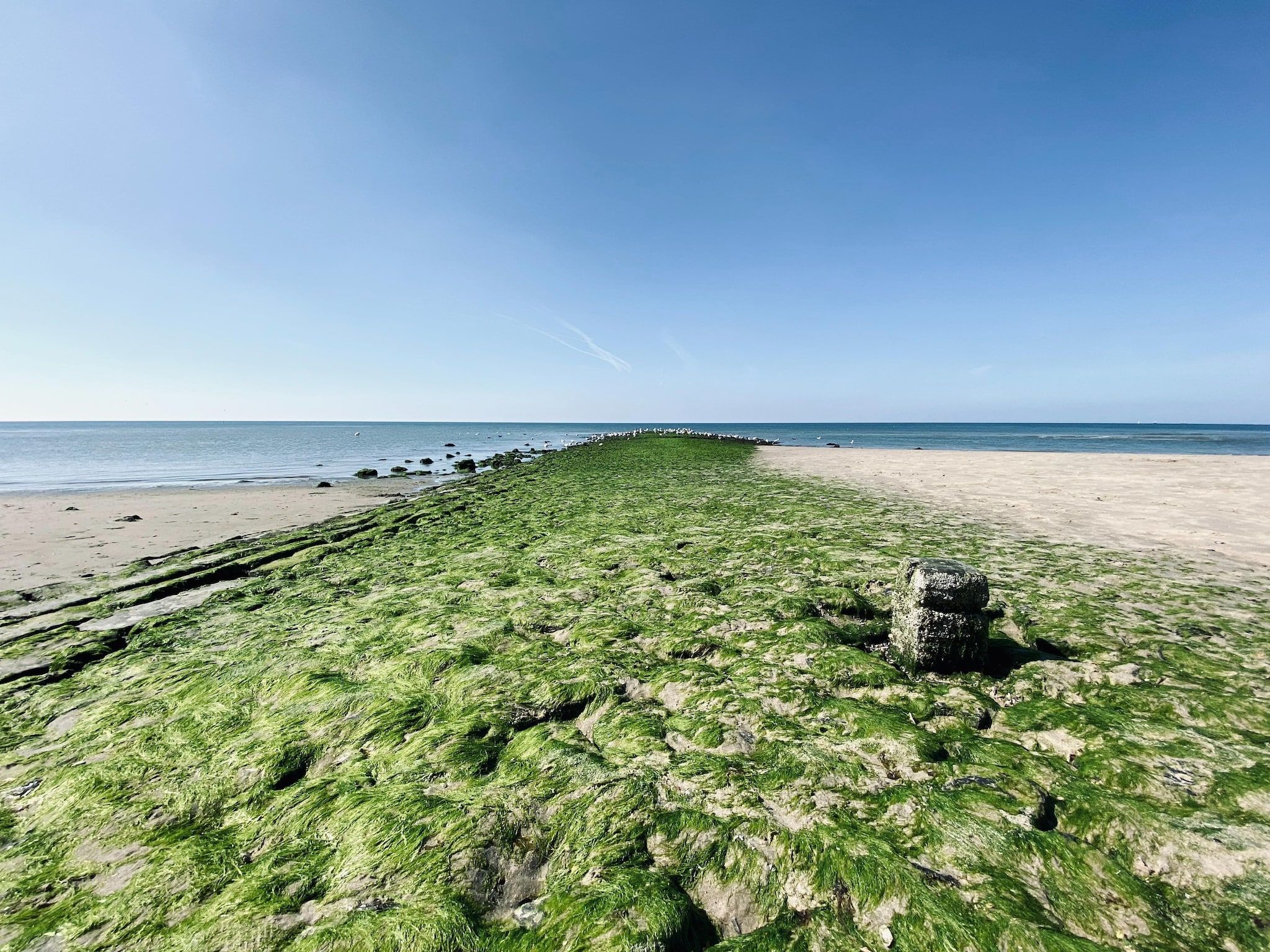 De omgeving van INFINITY in Callantsoog