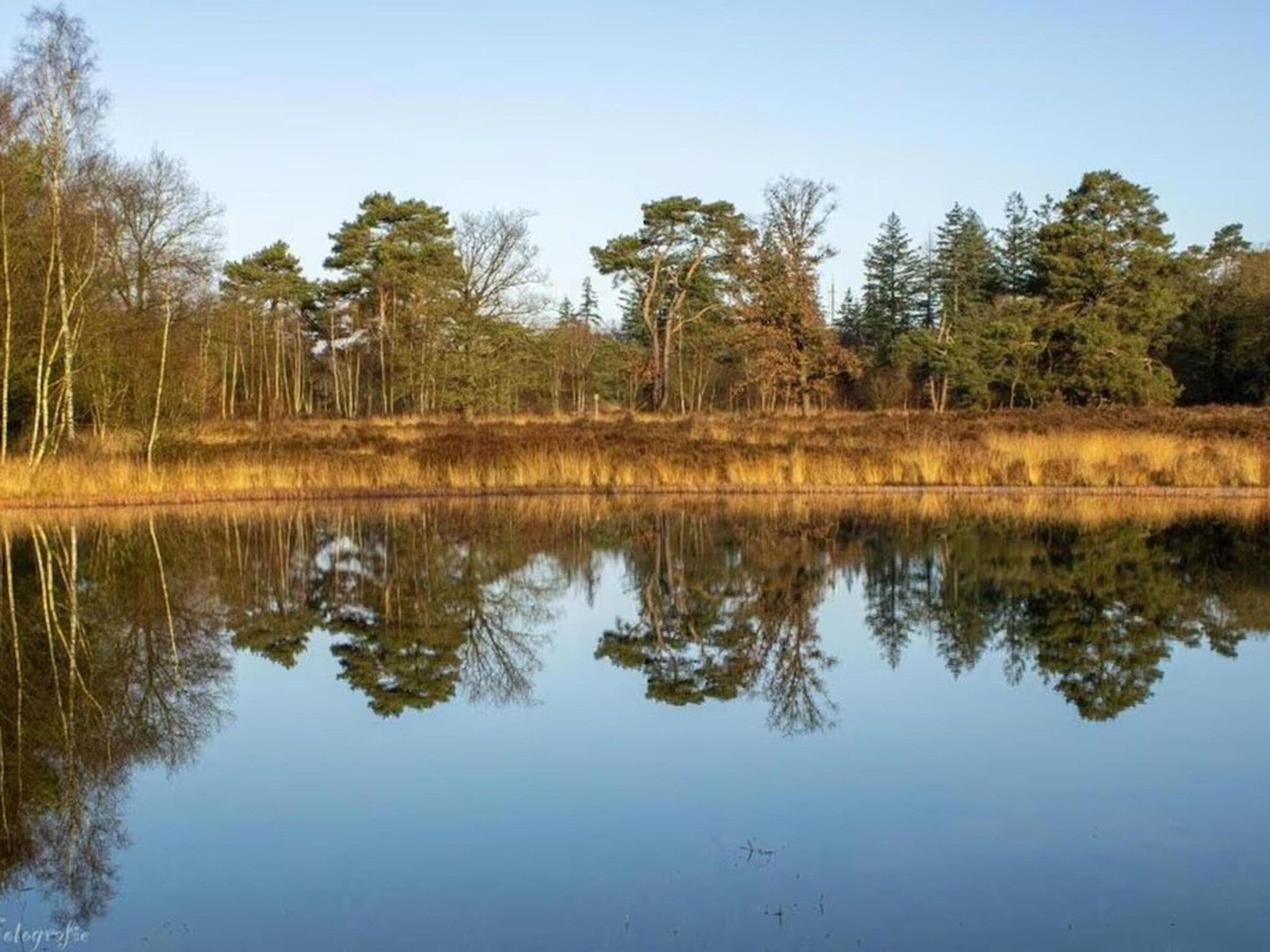 De omgeving van Hulshorsterhout in Hulshorst