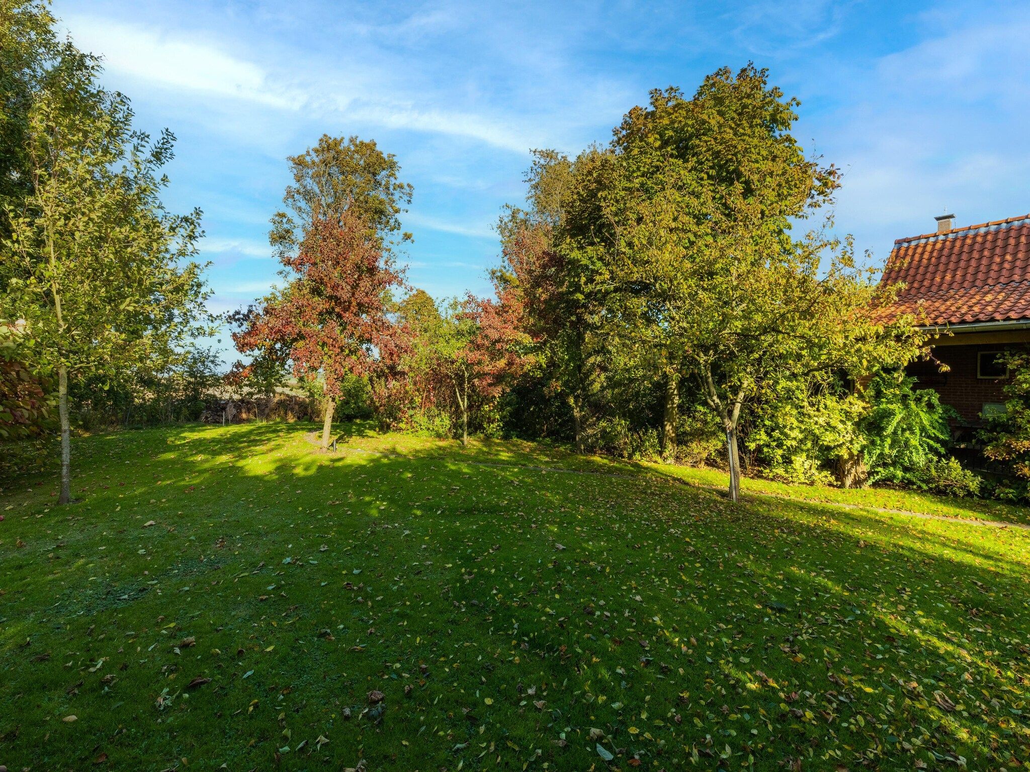 De tuin van Vakantiewoning Wijnaldum in Wijnaldum